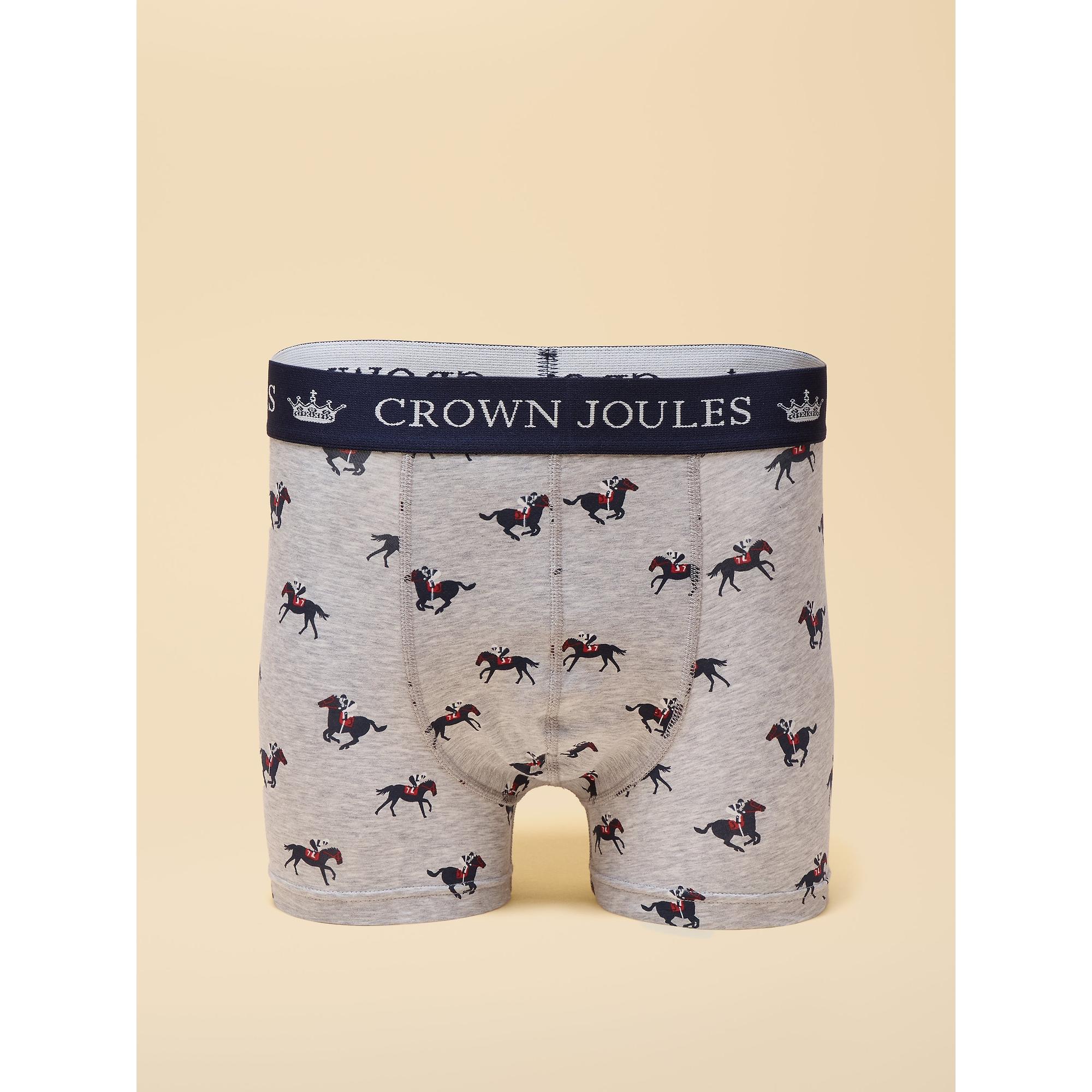 Product image 3 of 3 of Joules Men's Crown Joules Boxer Briefs 2 Pack - Grey/Navy
