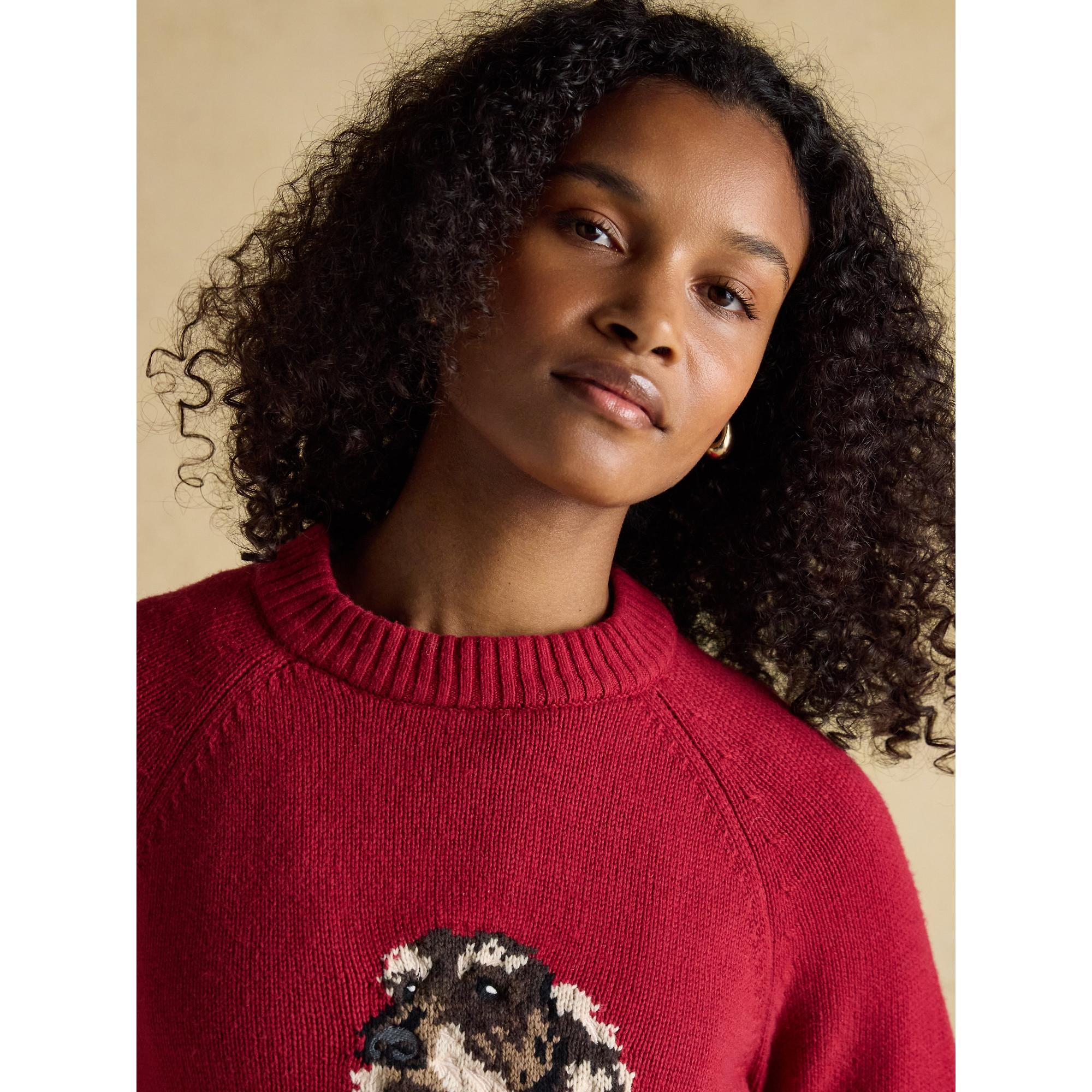 Product image 3 of 8 of Joules Women's Dachshund Jumper - Red
