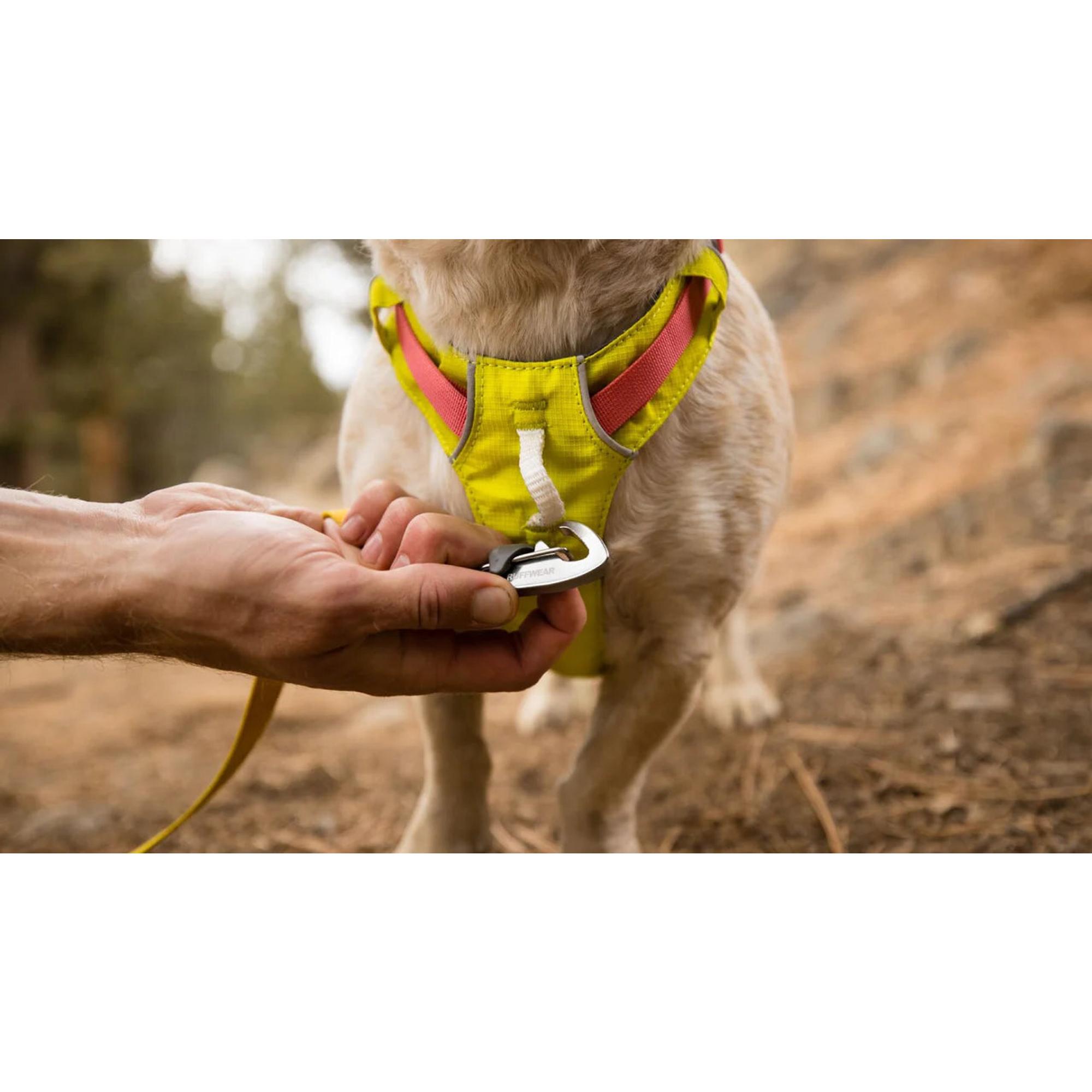 Product image 10 of 16 of RUFFWEAR Hi & Light Lightweight Dog Harness - Basalt Grey