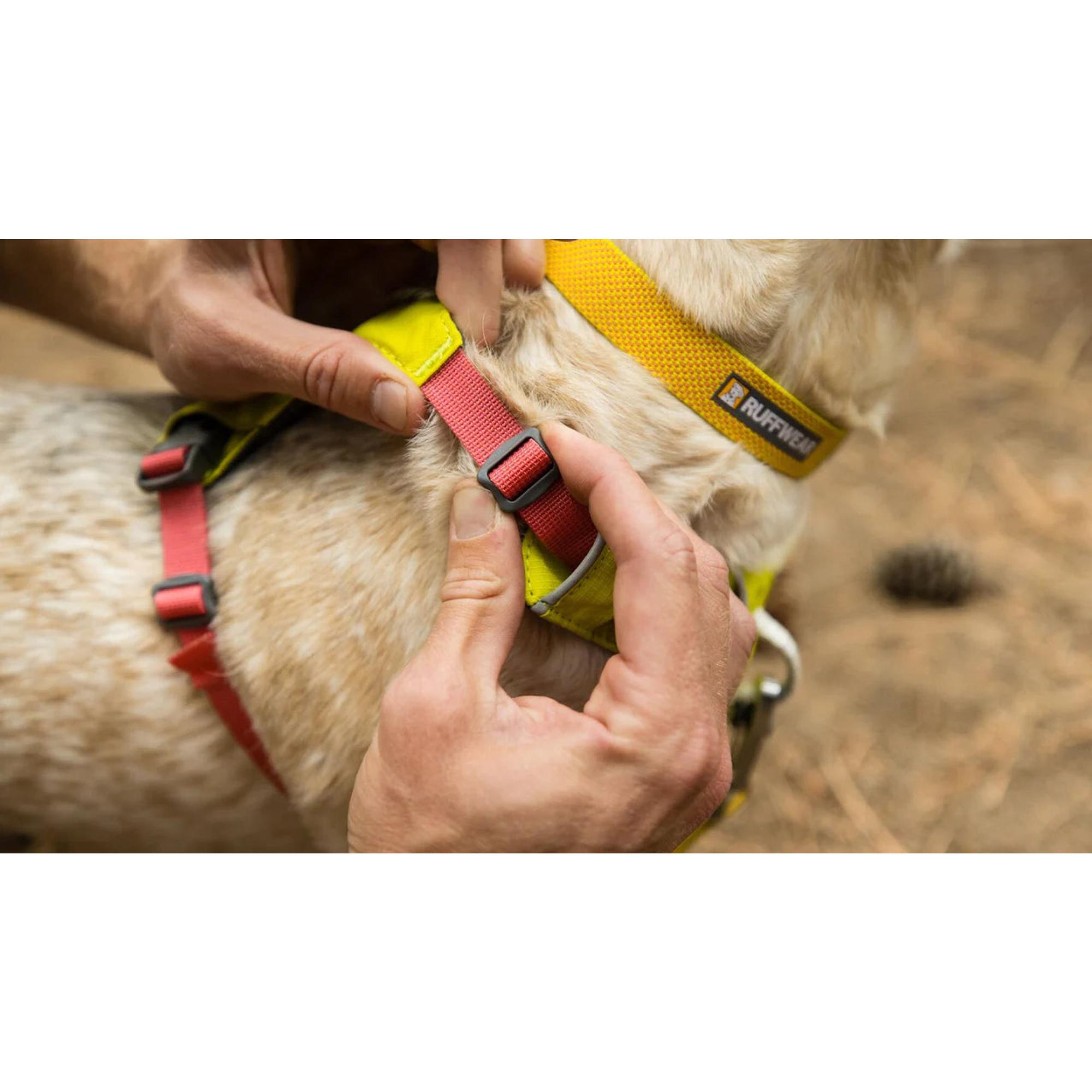 Product image 12 of 16 of RUFFWEAR Hi & Light Lightweight Dog Harness - Basalt Grey