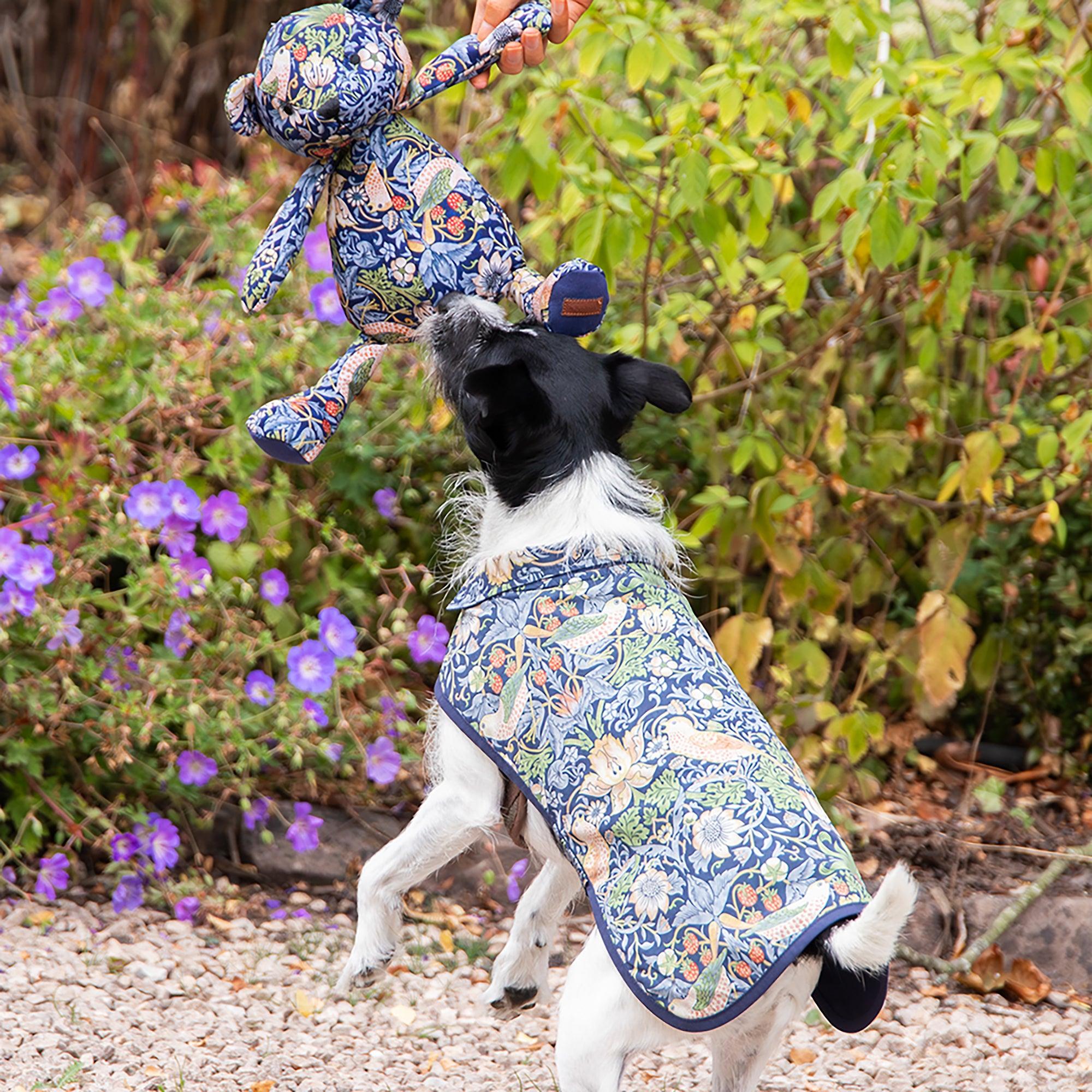 Product image 6 of 9 of William Morris Reversible Dog Coat - Strawberry Thief Print