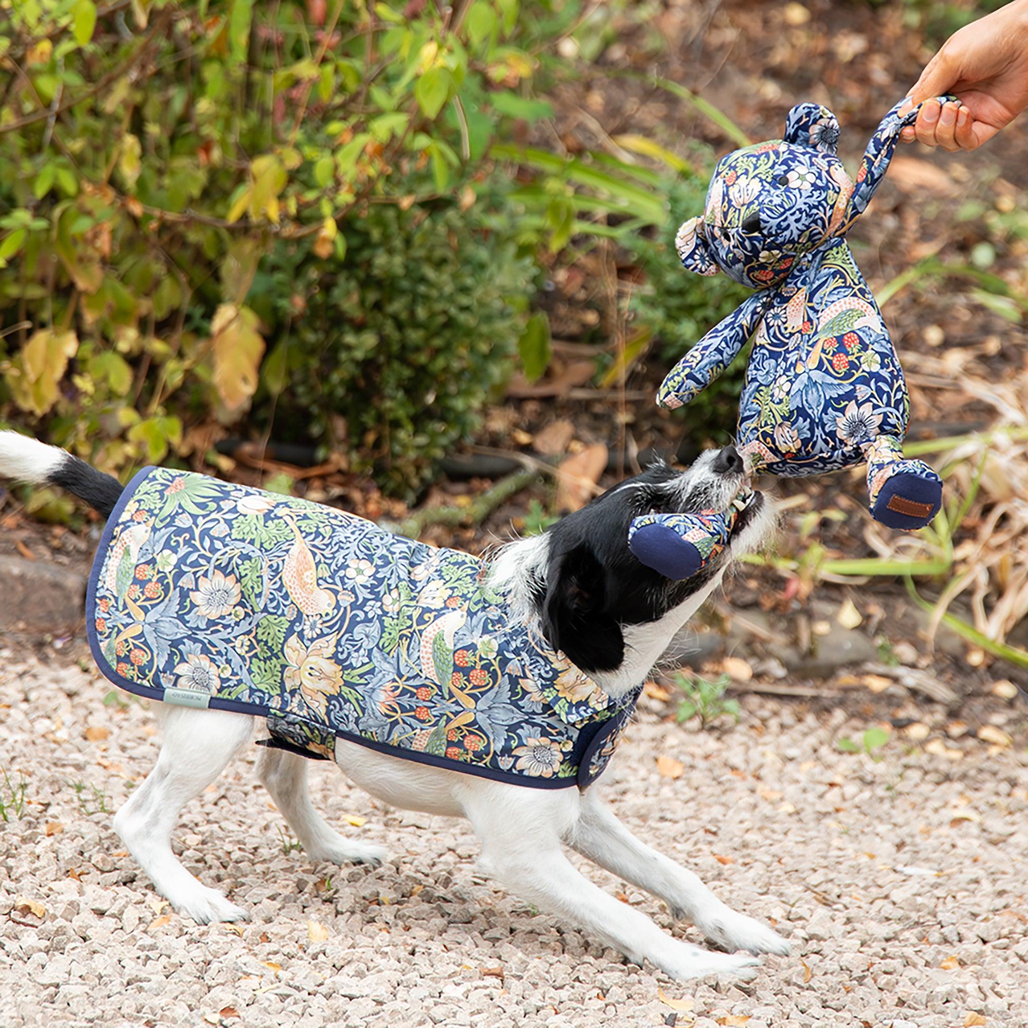 Product image 7 of 9 of William Morris Reversible Dog Coat - Strawberry Thief Print