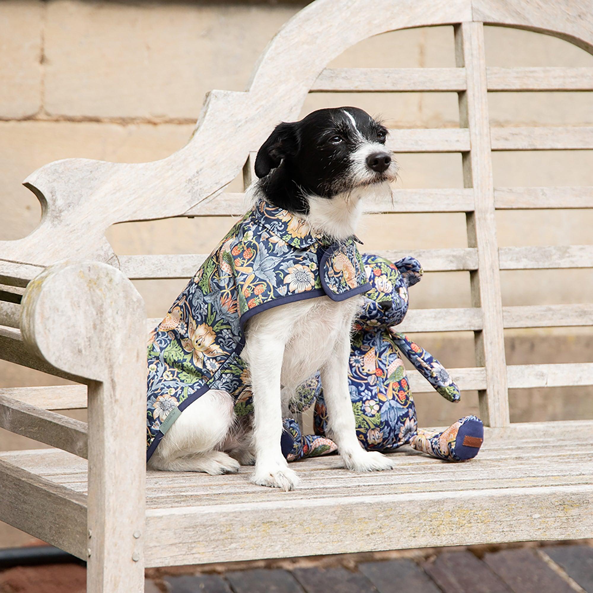 Product image 8 of 9 of William Morris Reversible Dog Coat - Strawberry Thief Print