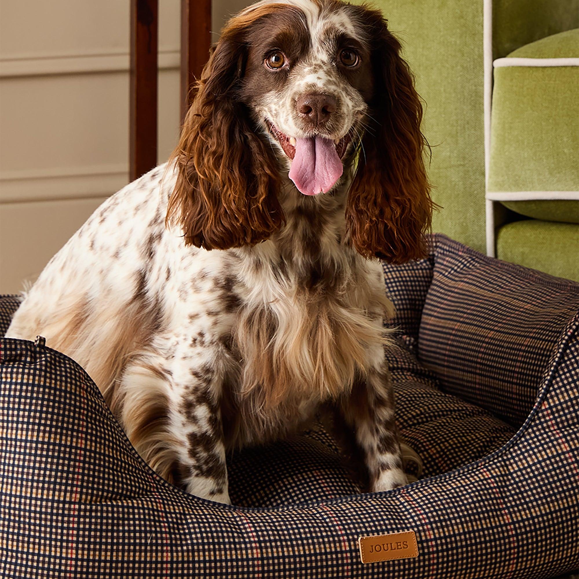 Product image 11 of 12 of Joules Dog Box Bed - Henson Check