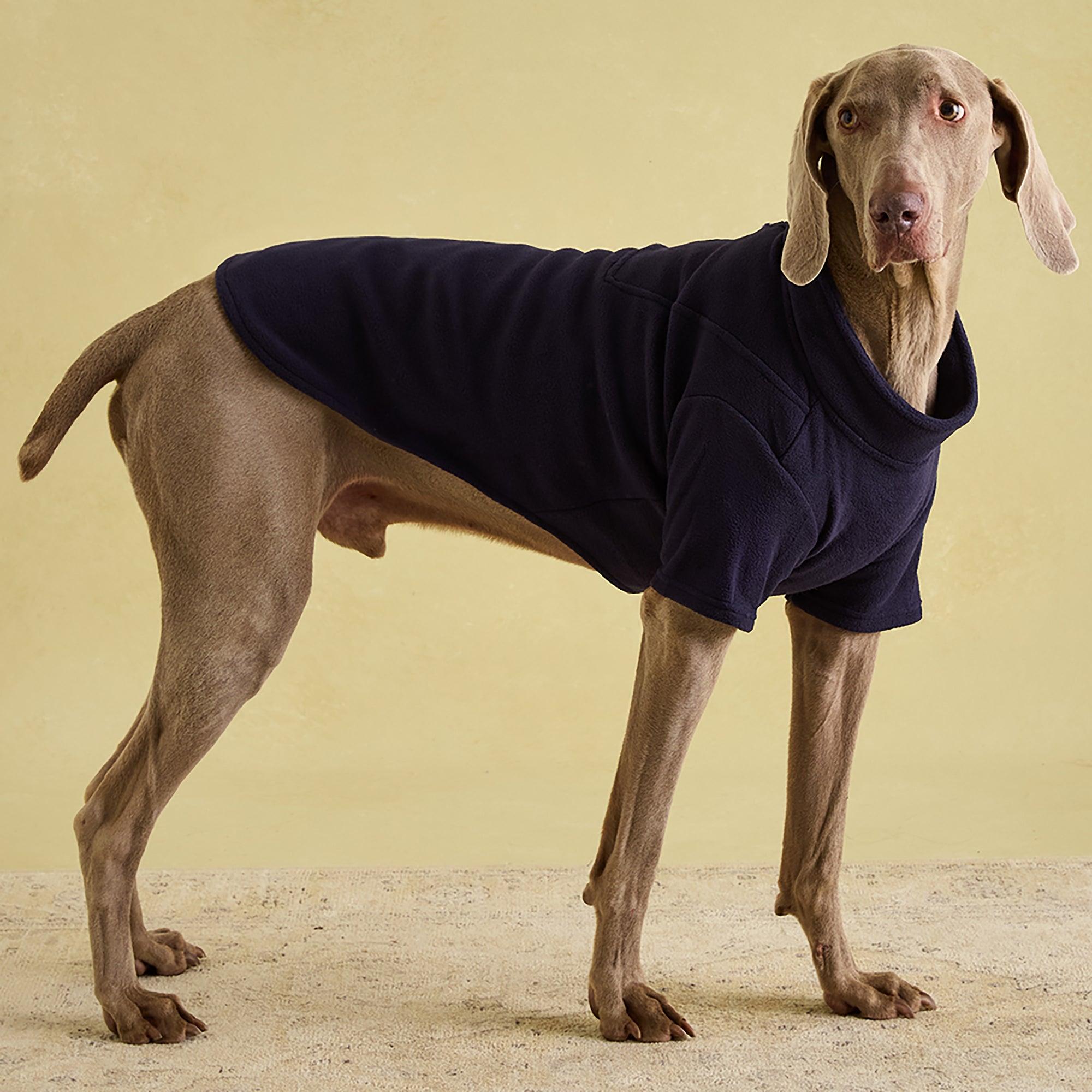 Product image 2 of 15 of Joules Dog Fleece - Navy