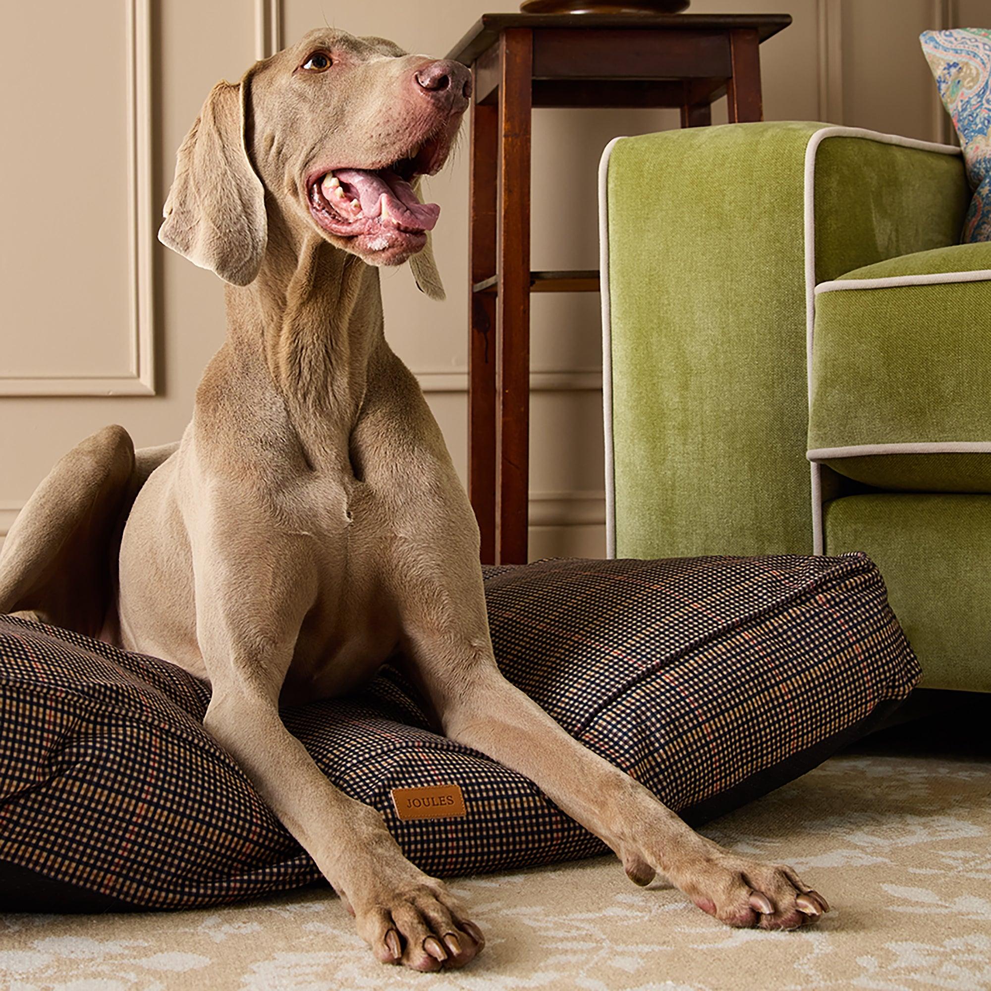 Product image 2 of 11 of Joules Dog Mattress - Henson Check