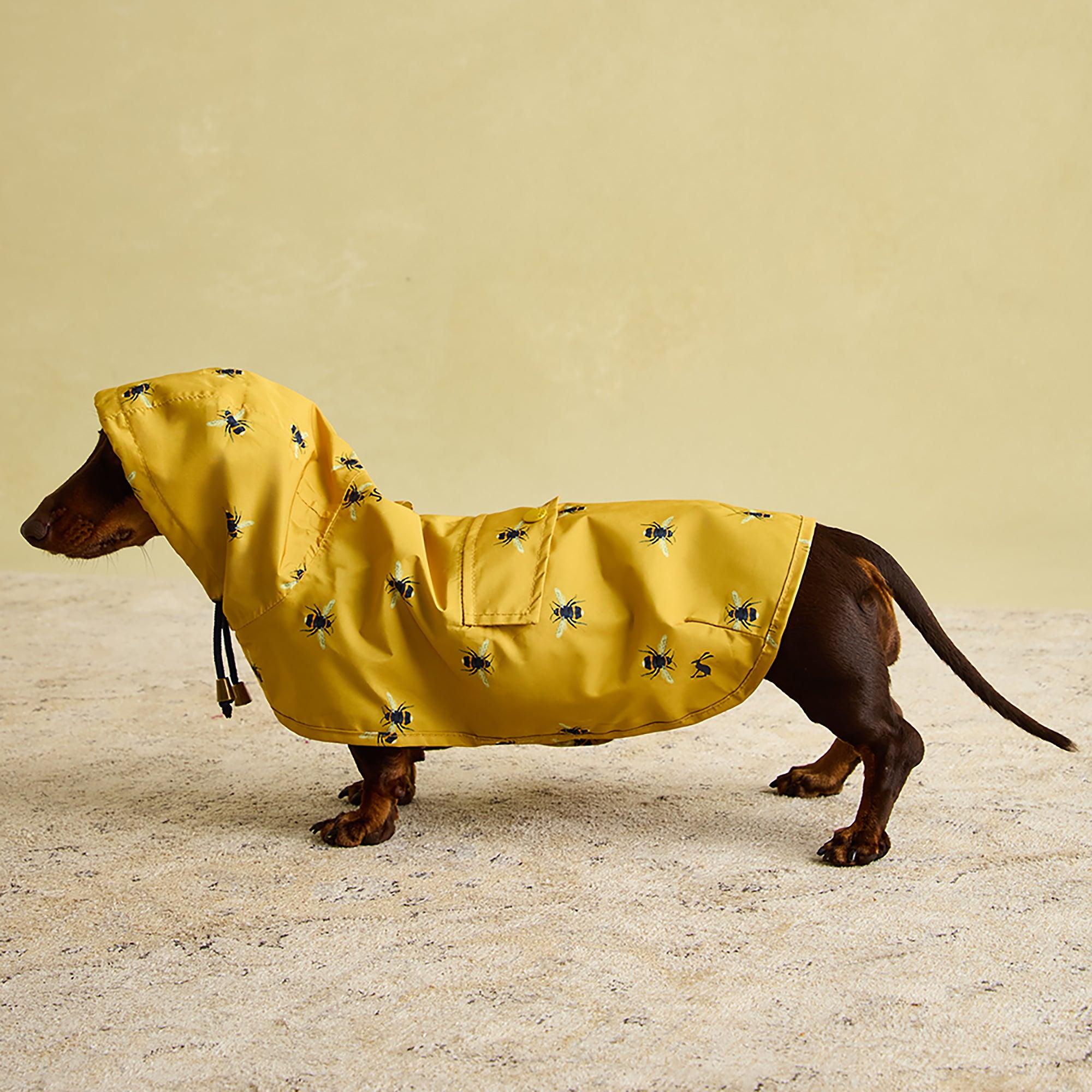 Product image 11 of 17 of Joules Golightly Packaway Dog Jacket - Bee Print