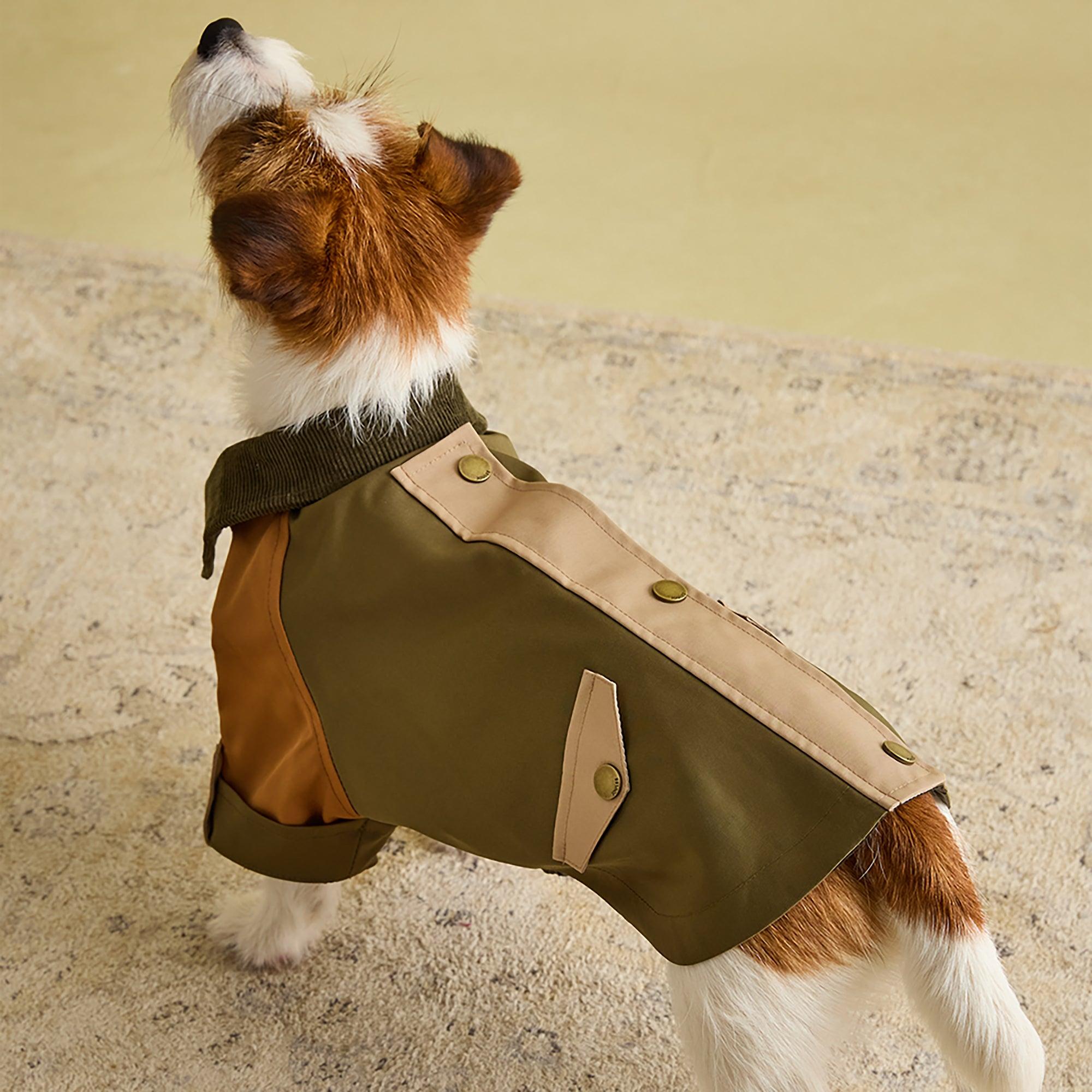 Product image 6 of 13 of Joules Kennington Dog Coat - Brown & Khaki