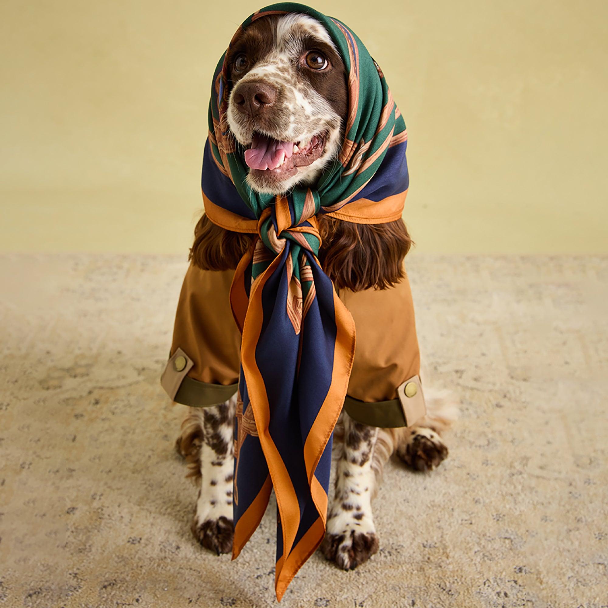Product image 9 of 13 of Joules Kennington Dog Coat - Brown & Khaki