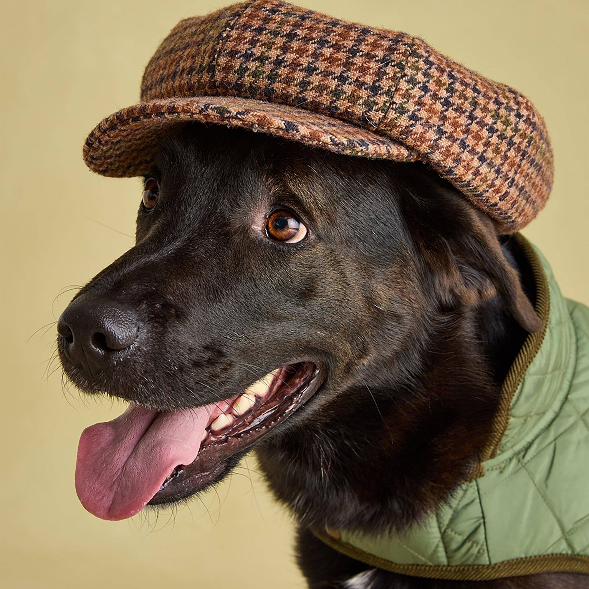Product image 10 of 15 of Joules Quilted Dog Coat - Khaki