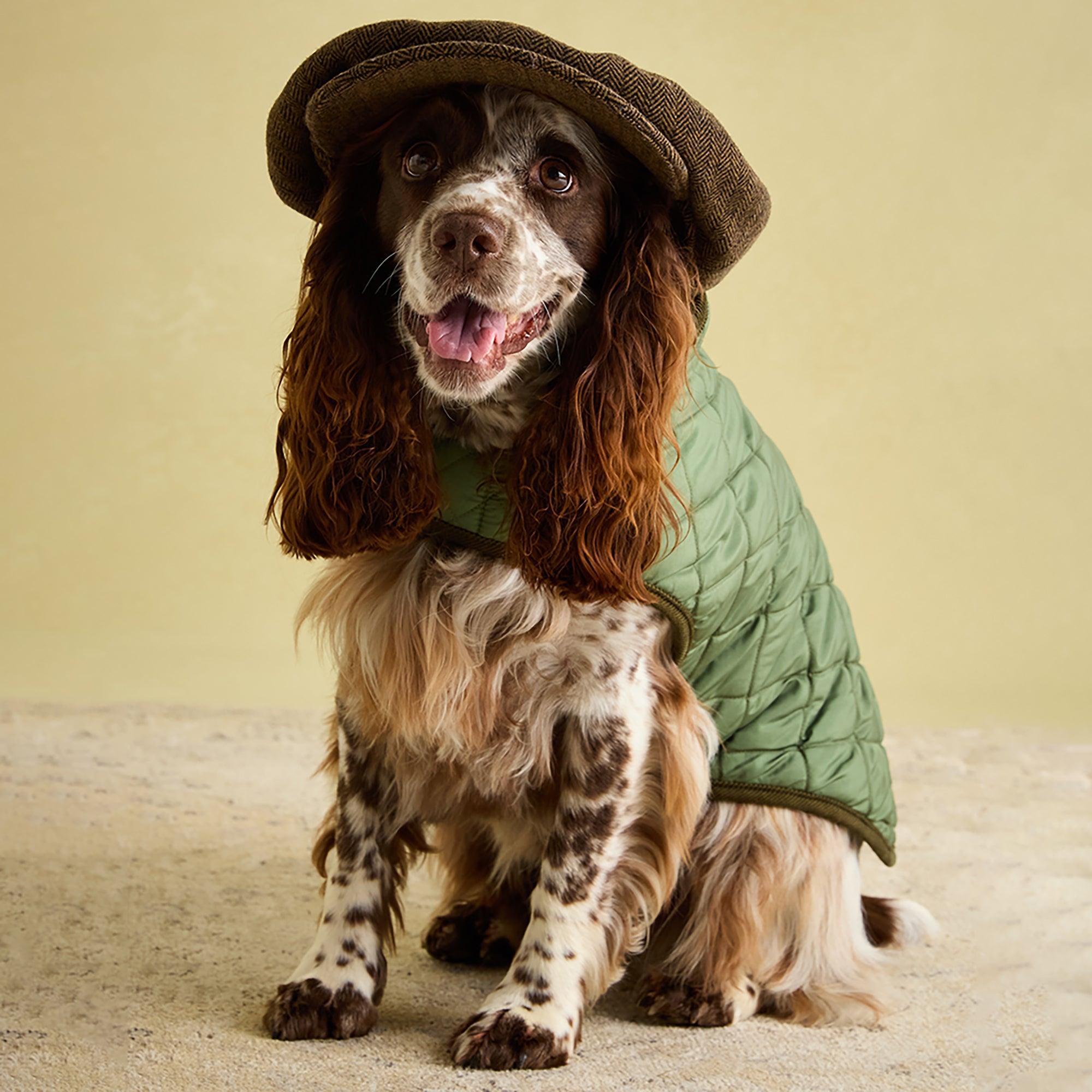 Product image 11 of 15 of Joules Quilted Dog Coat - Khaki