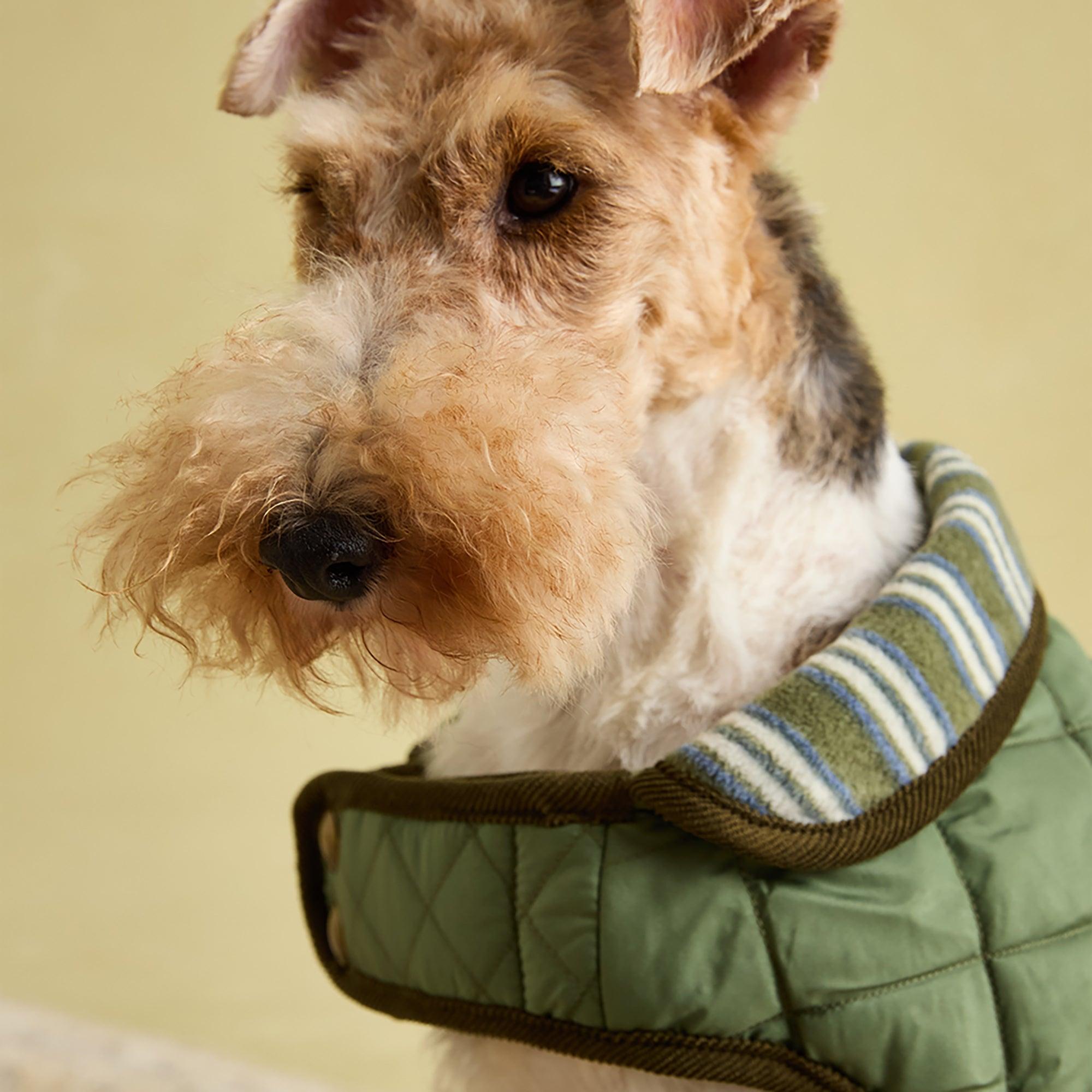 Product image 12 of 15 of Joules Quilted Dog Coat - Khaki