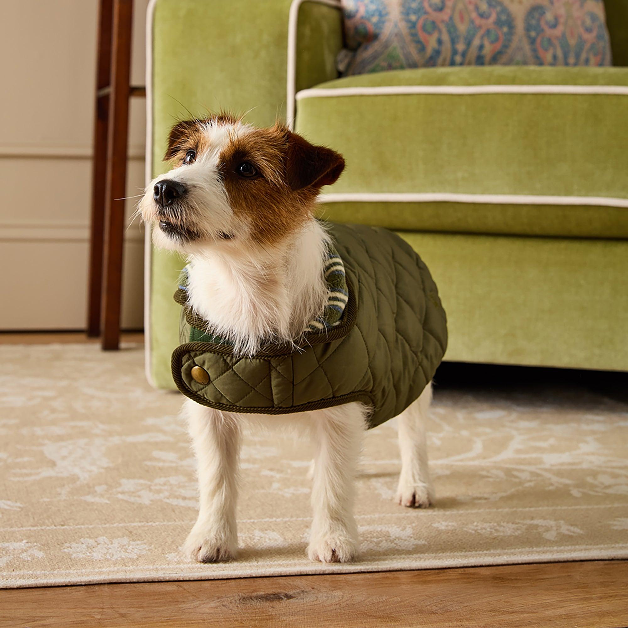 Product image 2 of 15 of Joules Quilted Dog Coat - Khaki