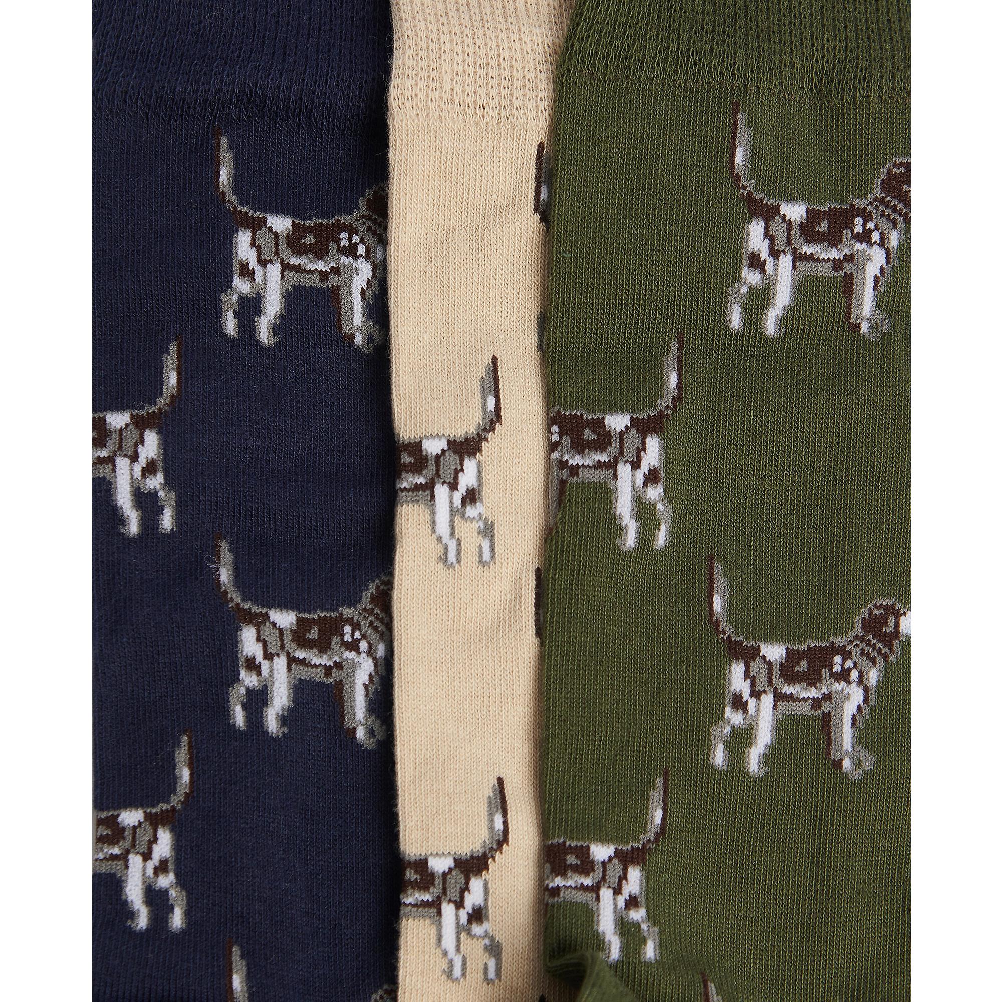 Product image 4 of 4 of Barbour Men's Pointer Dog Socks Gift Box UK 7-11 - Forest Mist