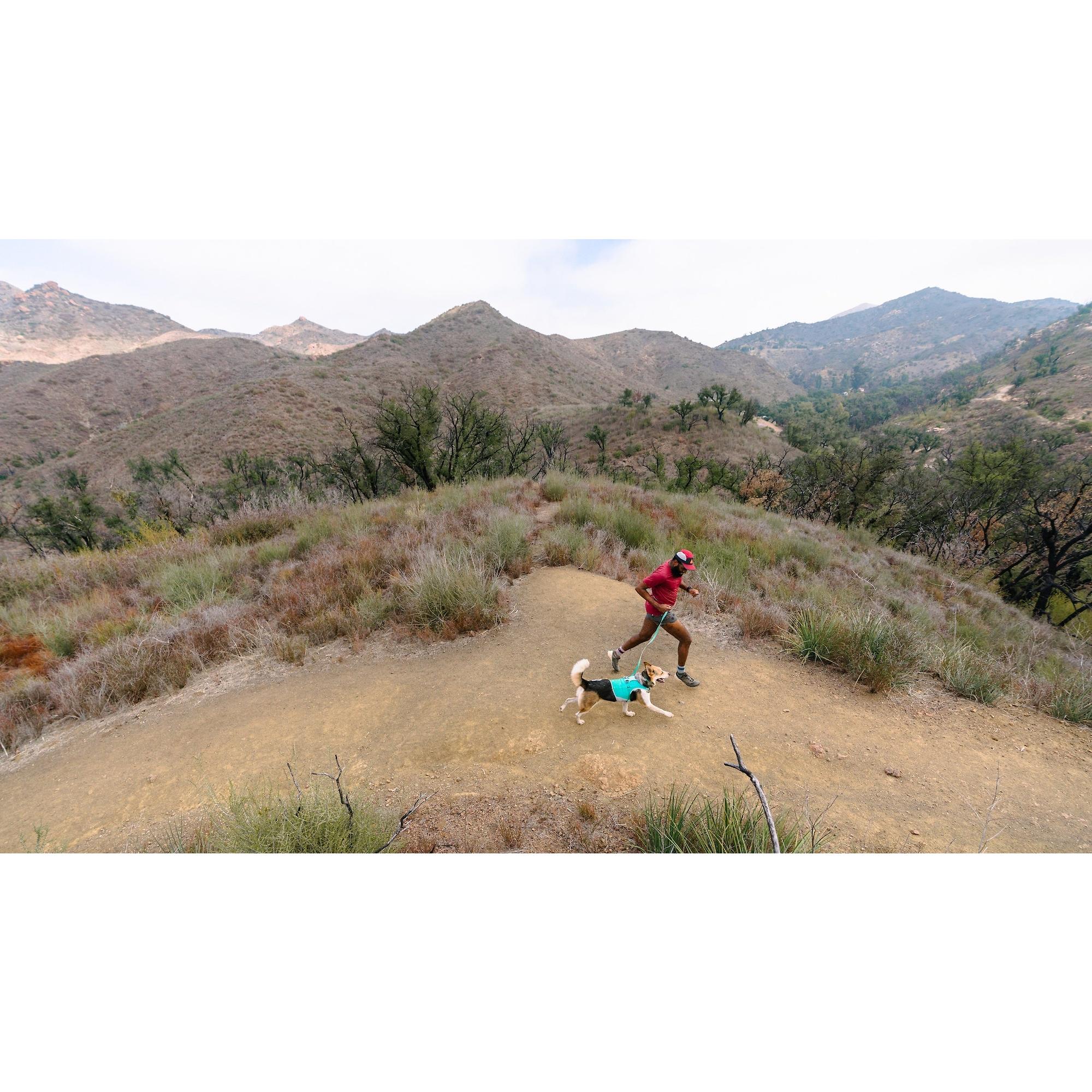 Product image 11 of 12 of RUFFWEAR Crag EX Adjustable Dog Lead - Alpine Dusk