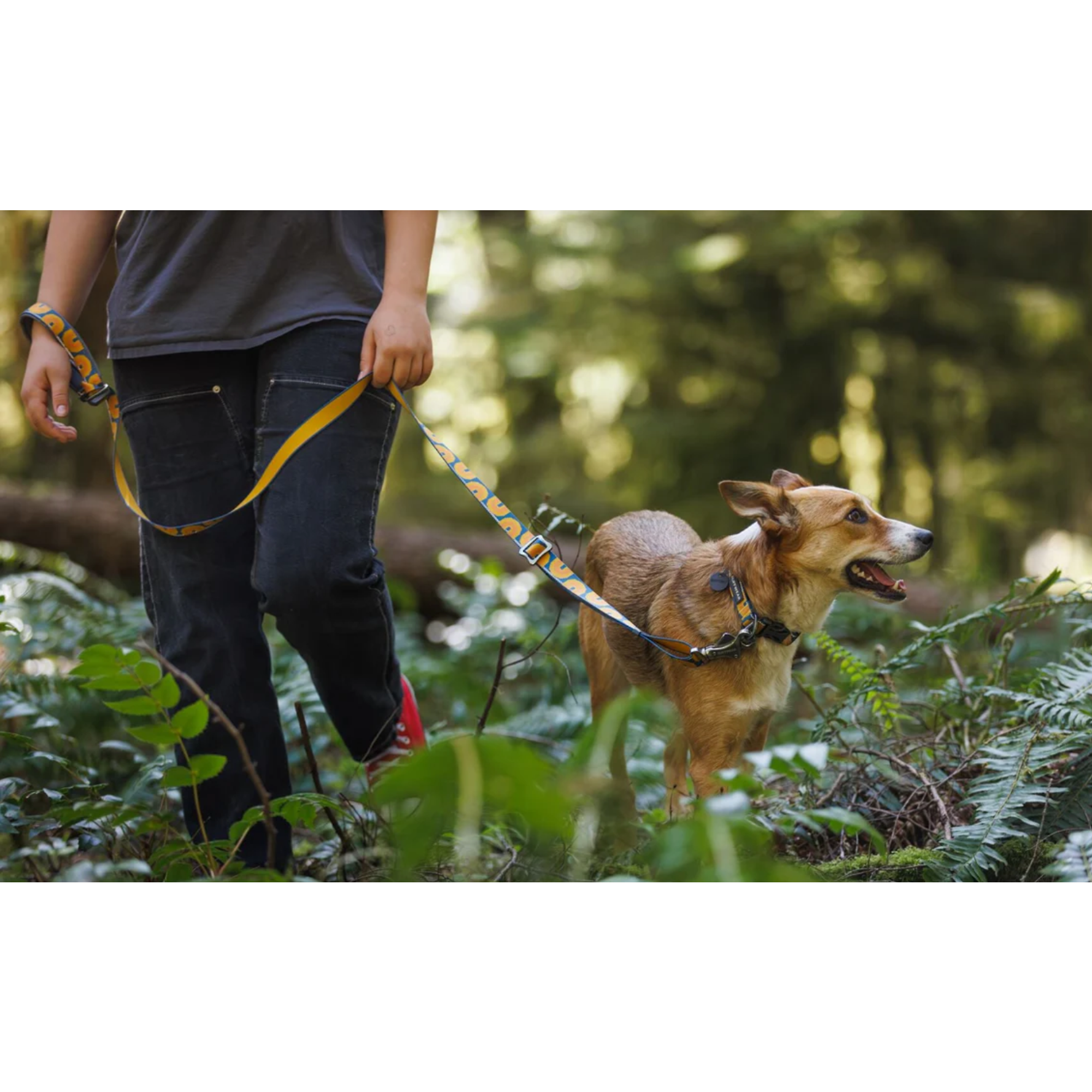 Product image 12 of 12 of RUFFWEAR Crag EX Adjustable Dog Lead - Alpine Dusk