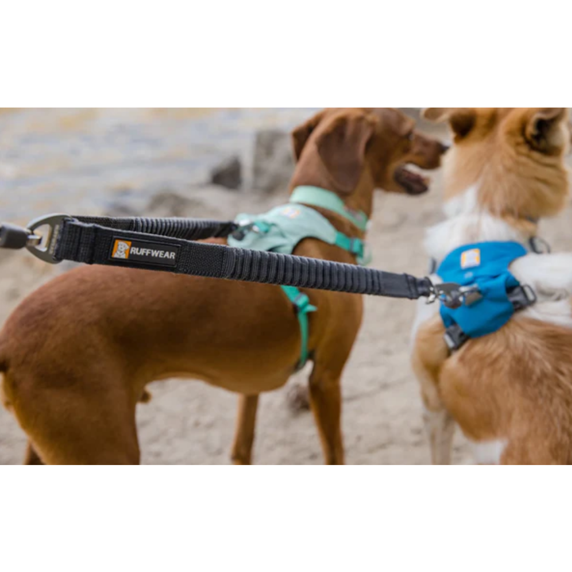 Product image 7 of 8 of RUFFWEAR Double Track Dog Lead Coupler - Basalt Grey