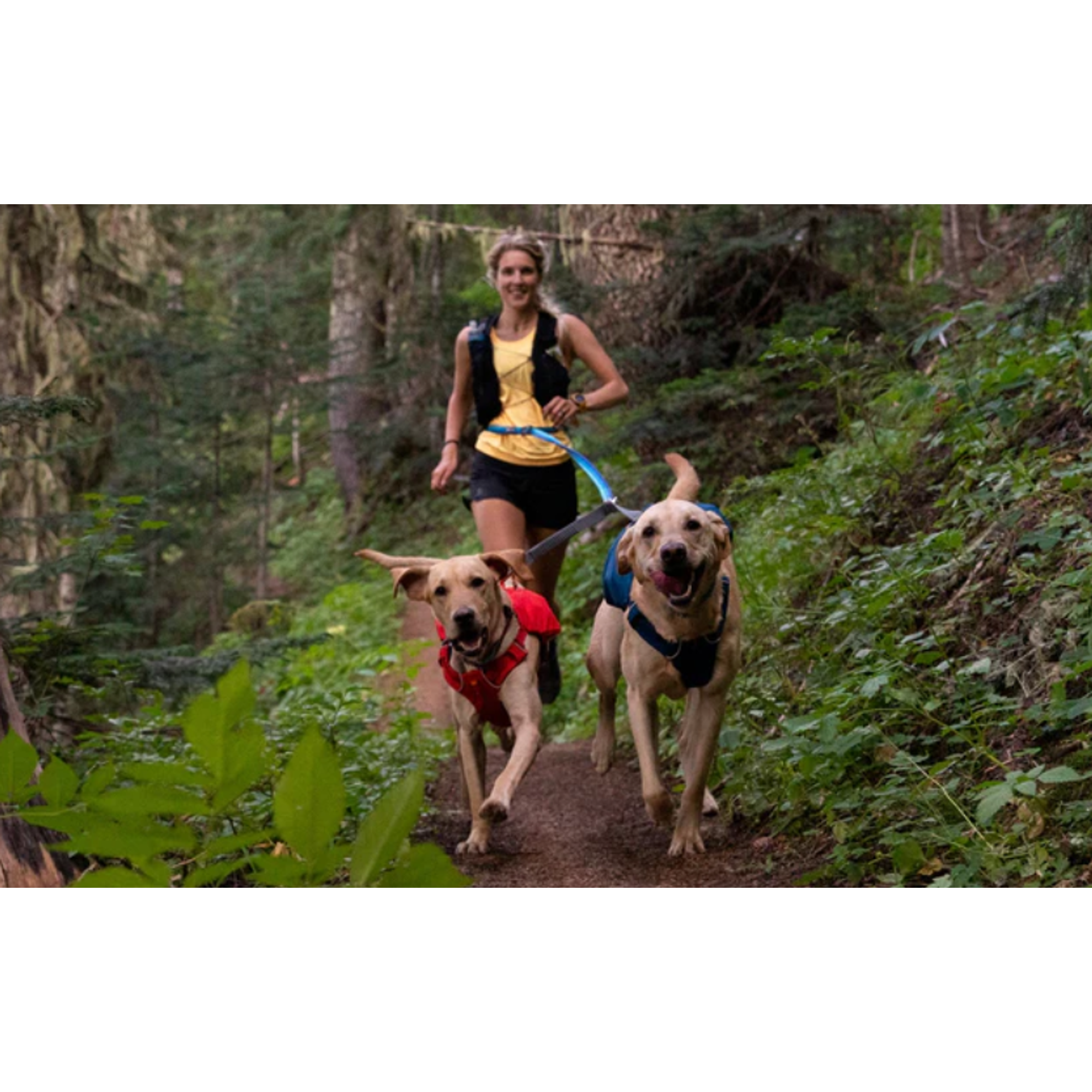 Product image 8 of 8 of RUFFWEAR Double Track Dog Lead Coupler - Basalt Grey