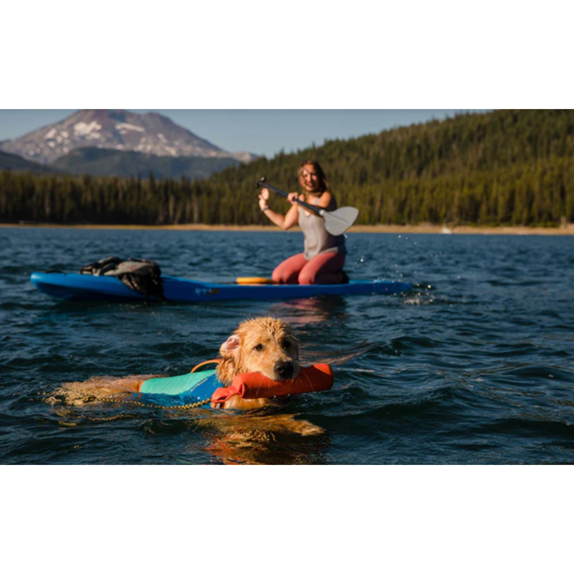 Product image 13 of 15 of RUFFWEAR Float Coat Dog Life Jacket - Wave Orange