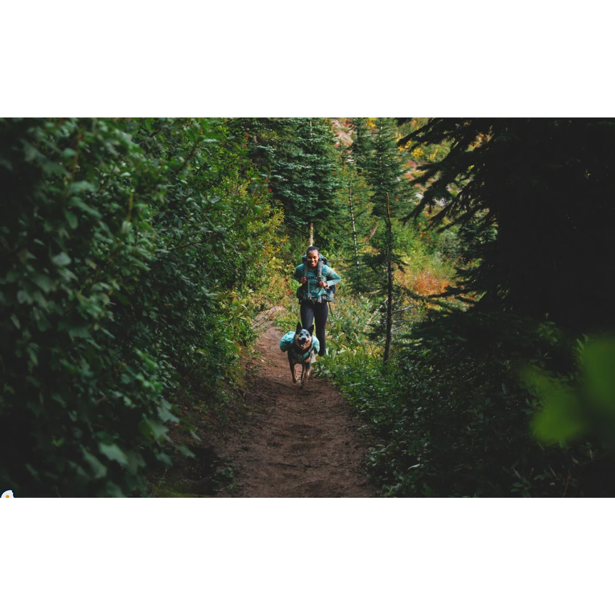 Product image 11 of 12 of RUFFWEAR Front Range Day Pack - River Rock Green