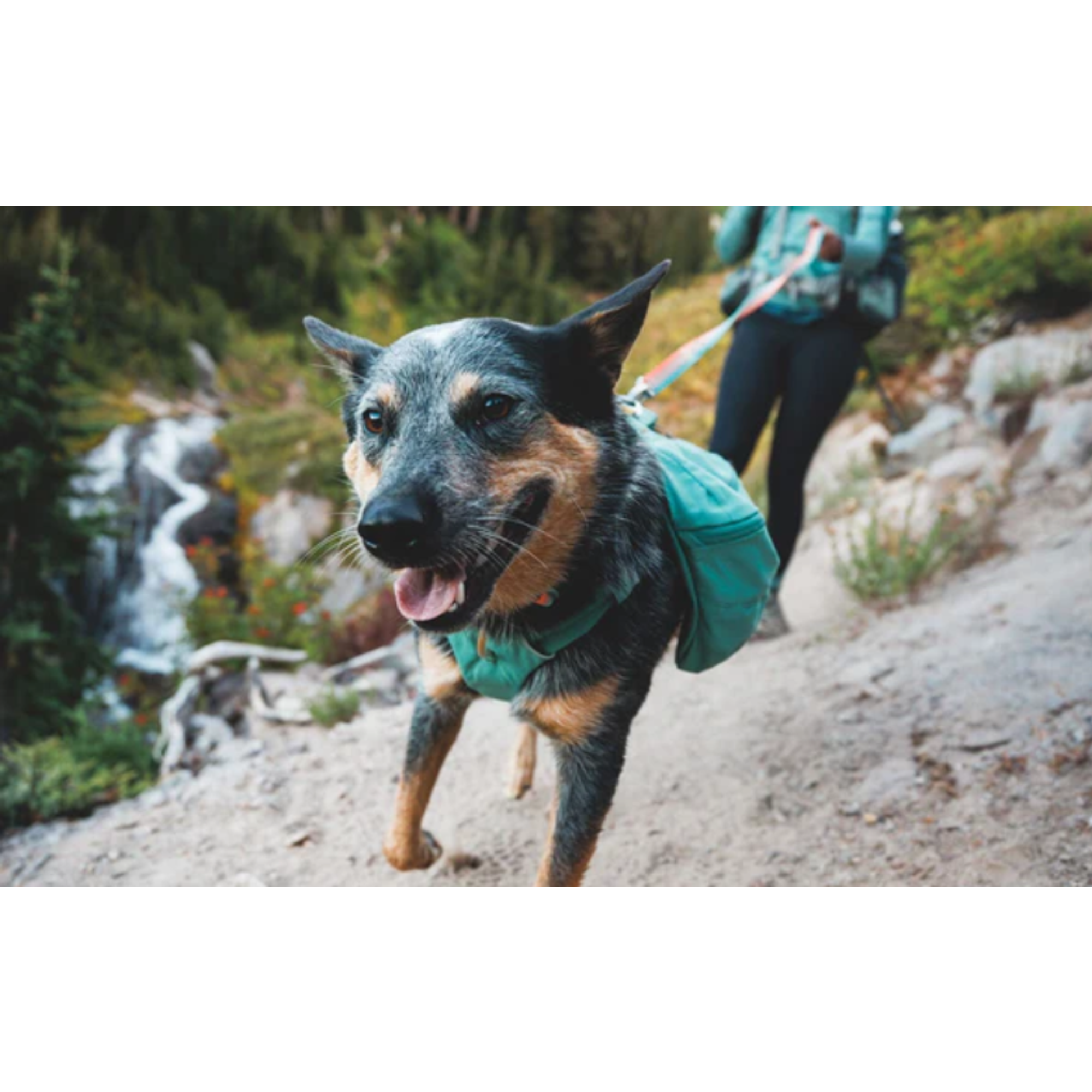 Product image 10 of 12 of RUFFWEAR Front Range Day Pack - River Rock Green