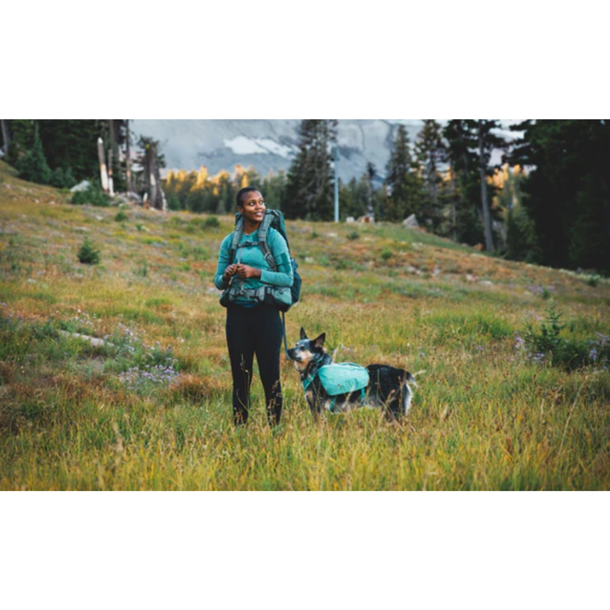 Product image 12 of 12 of RUFFWEAR Front Range Day Pack - River Rock Green