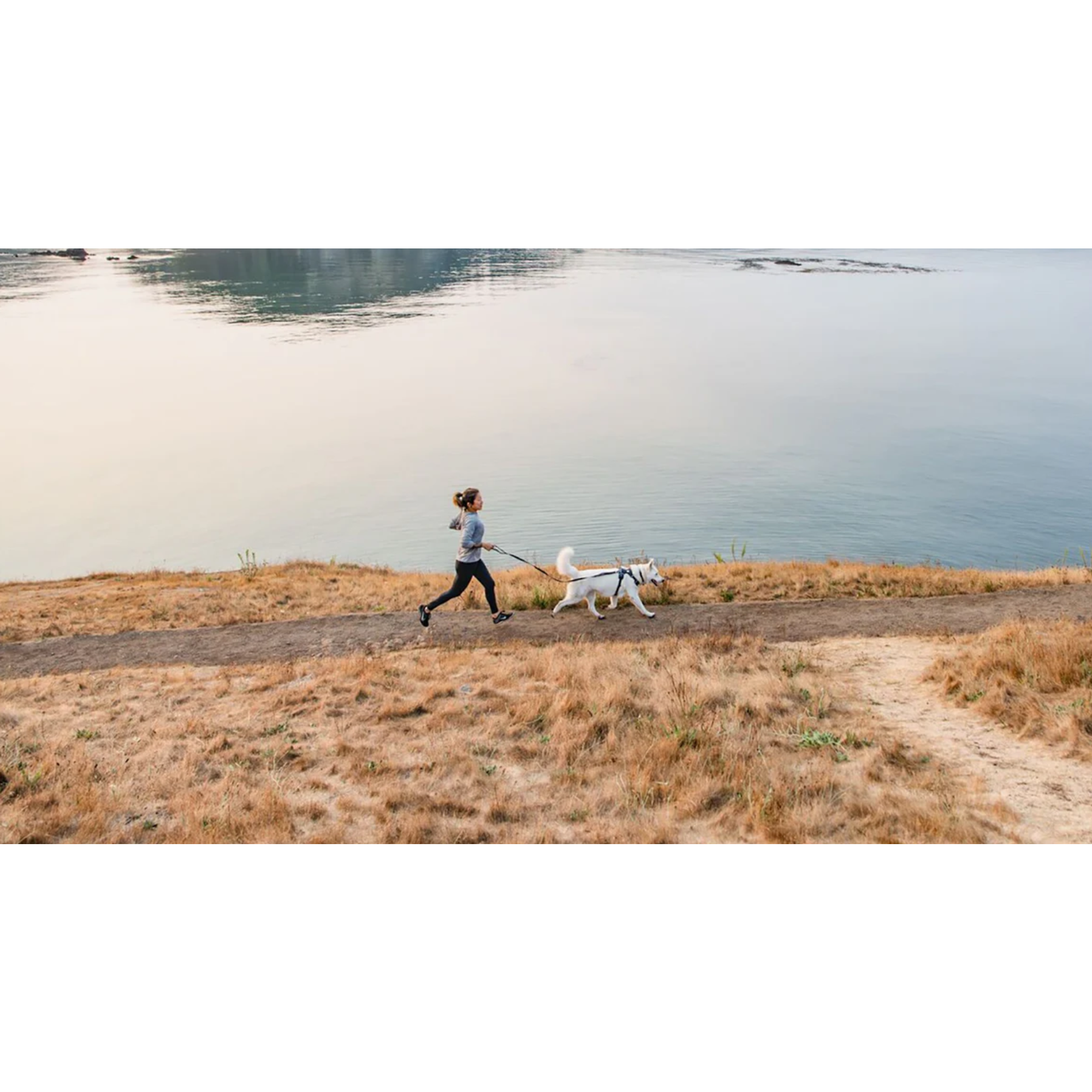 Product image 15 of 15 of RUFFWEAR Front Range Dog Harness - Basalt Grey