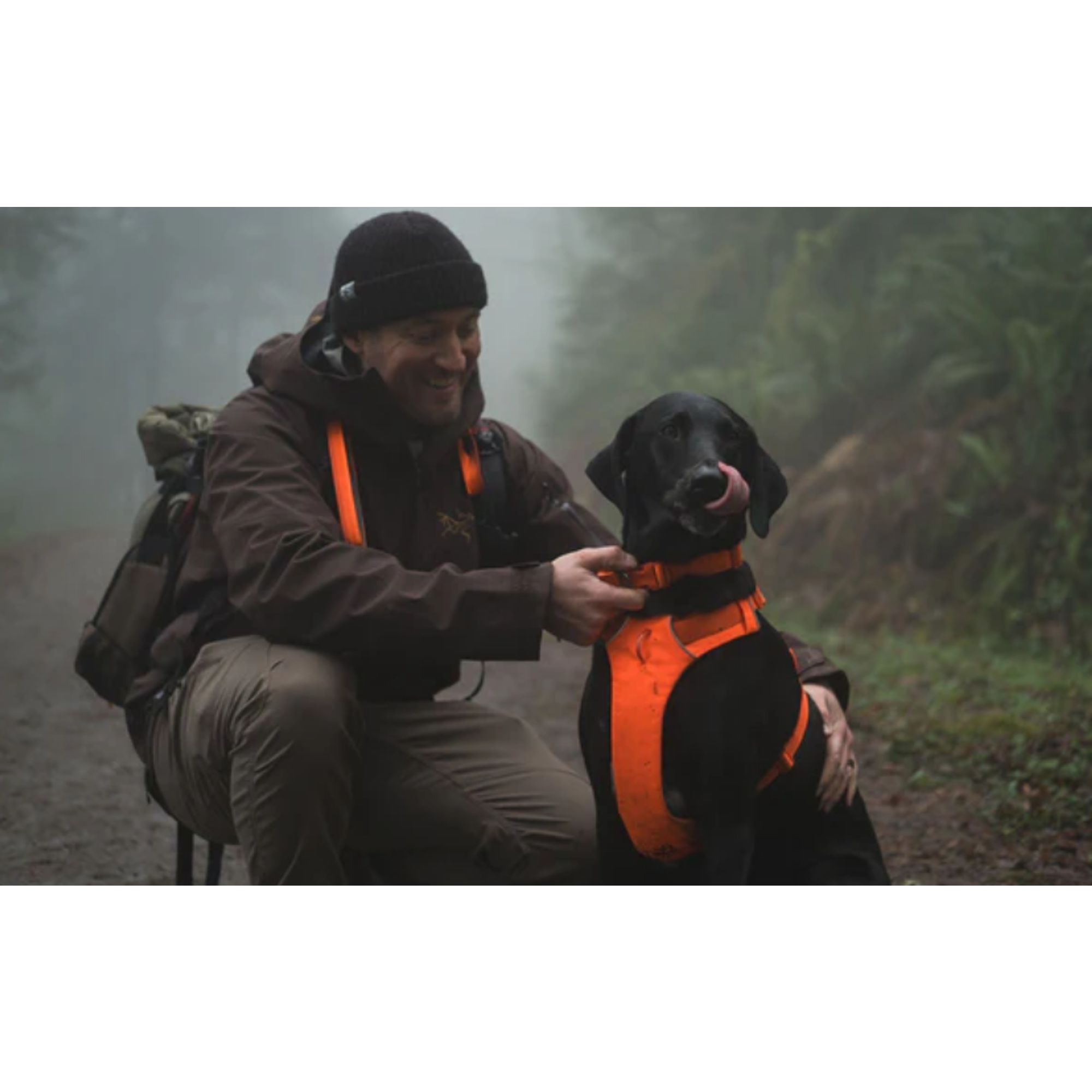 Product image 14 of 15 of RUFFWEAR Front Range Dog Harness - Basalt Grey