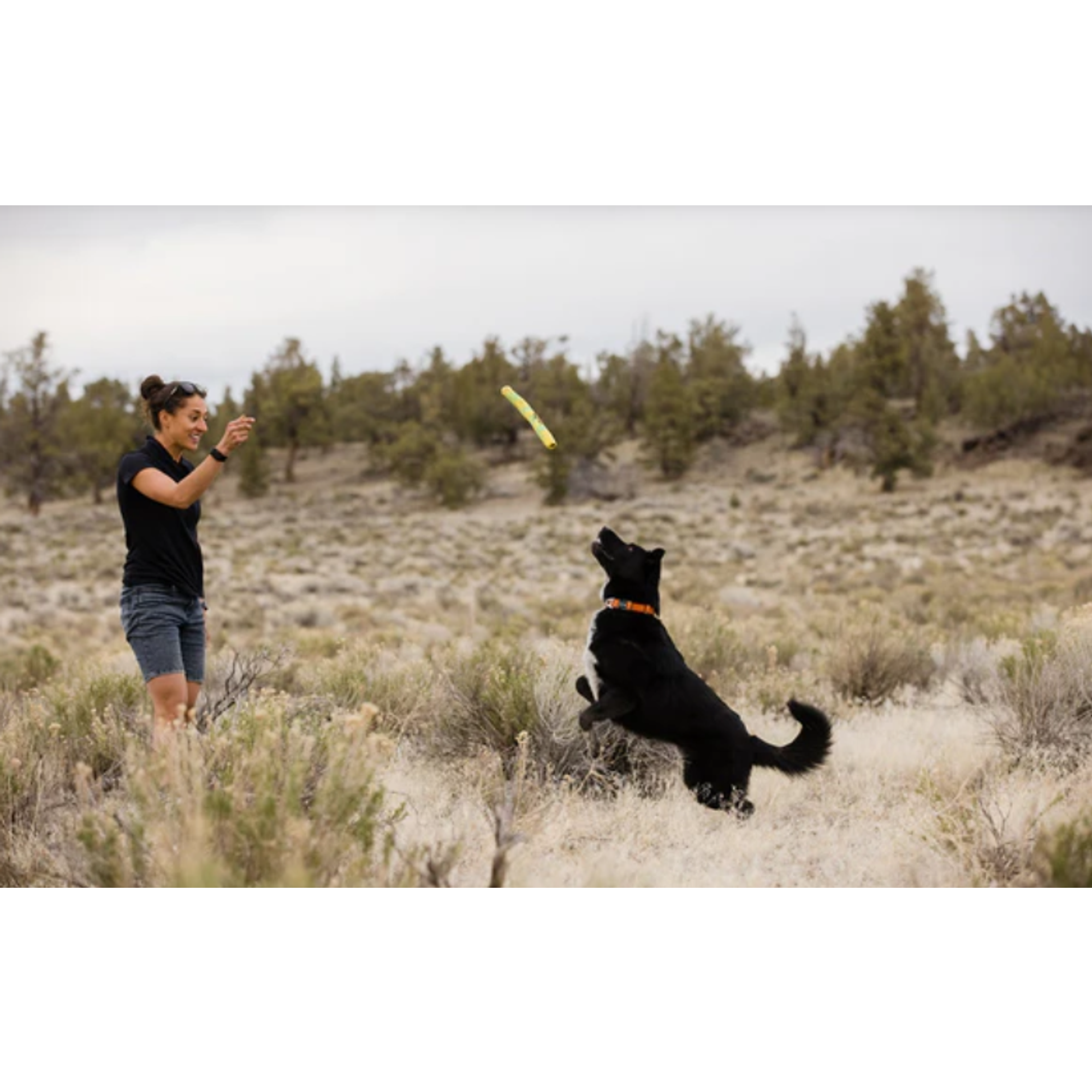 Product image 9 of 9 of RUFFWEAR Gnawt-a-Stick - Lichen Green