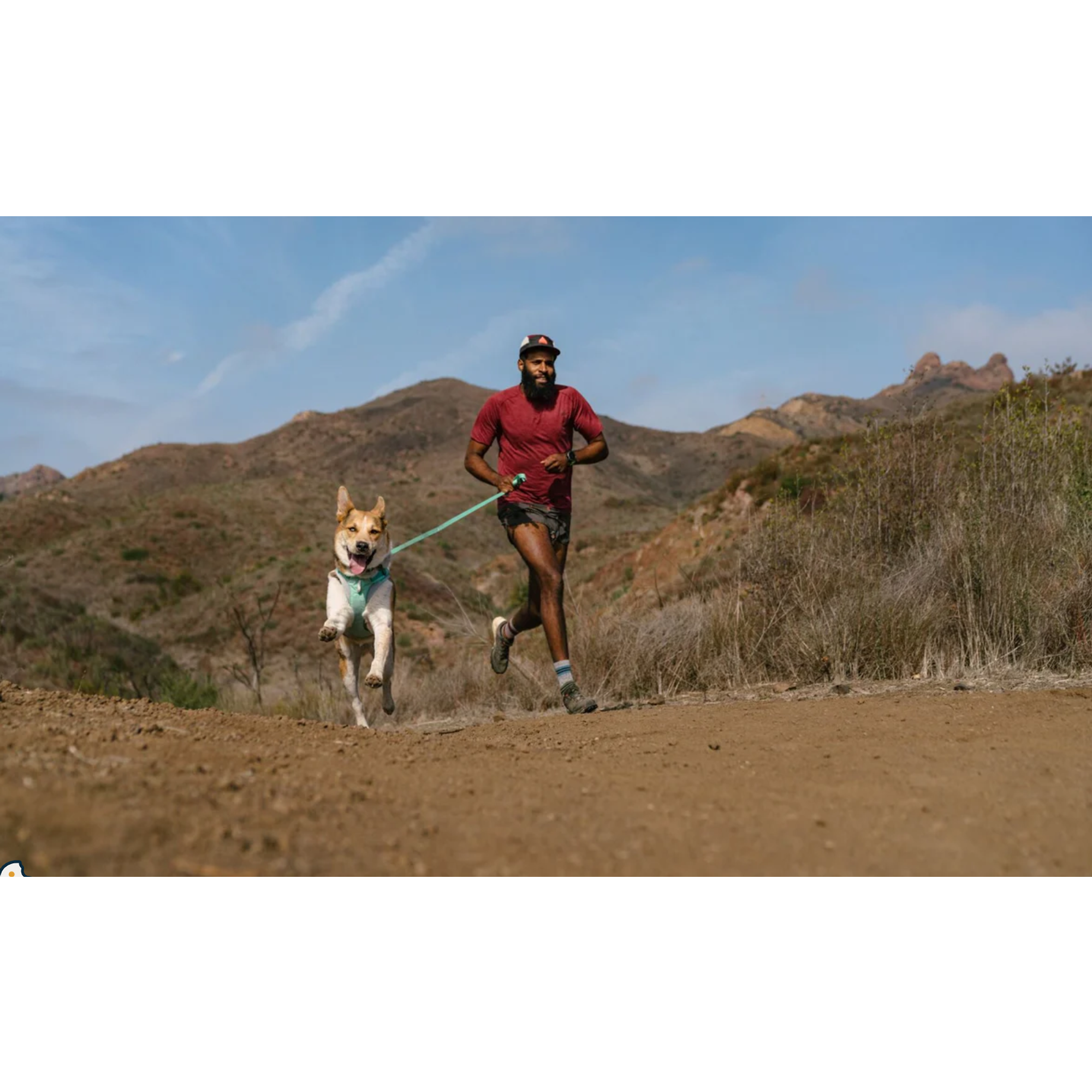 Product image 7 of 16 of RUFFWEAR Hi & Light Lightweight Dog Harness - Basalt Grey