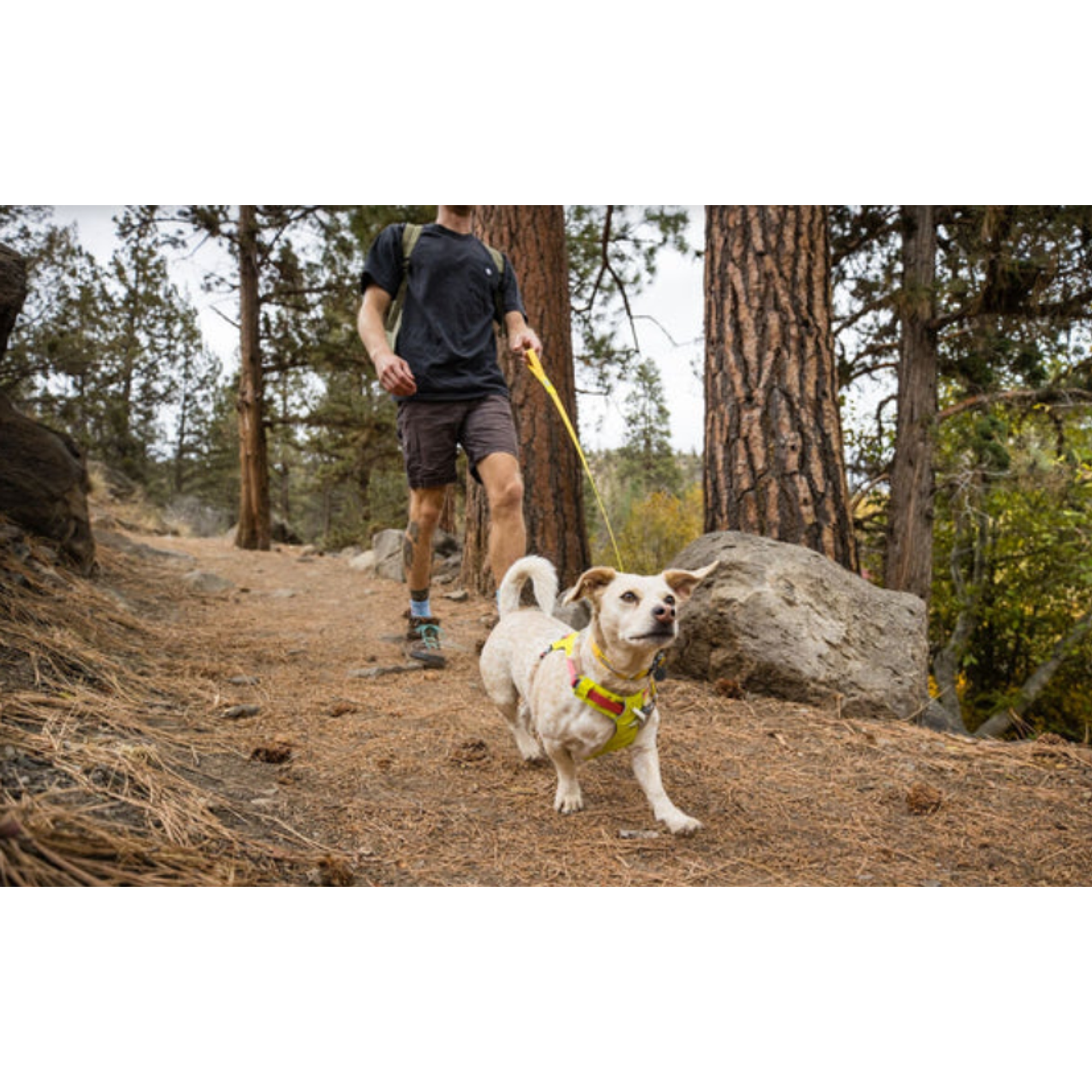 Product image 9 of 16 of RUFFWEAR Hi & Light Lightweight Dog Harness - Basalt Grey