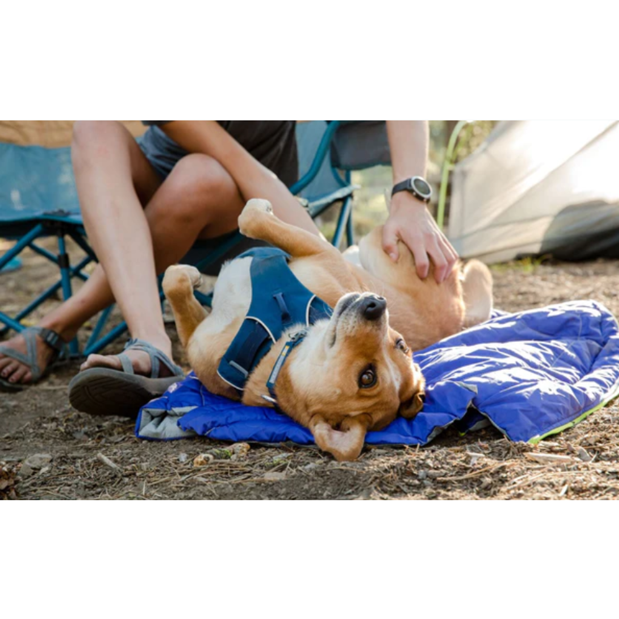 Product image 12 of 13 of RUFFWEAR Highlands Dog Sleeping Bag - Huckleberry Blue (Medium)