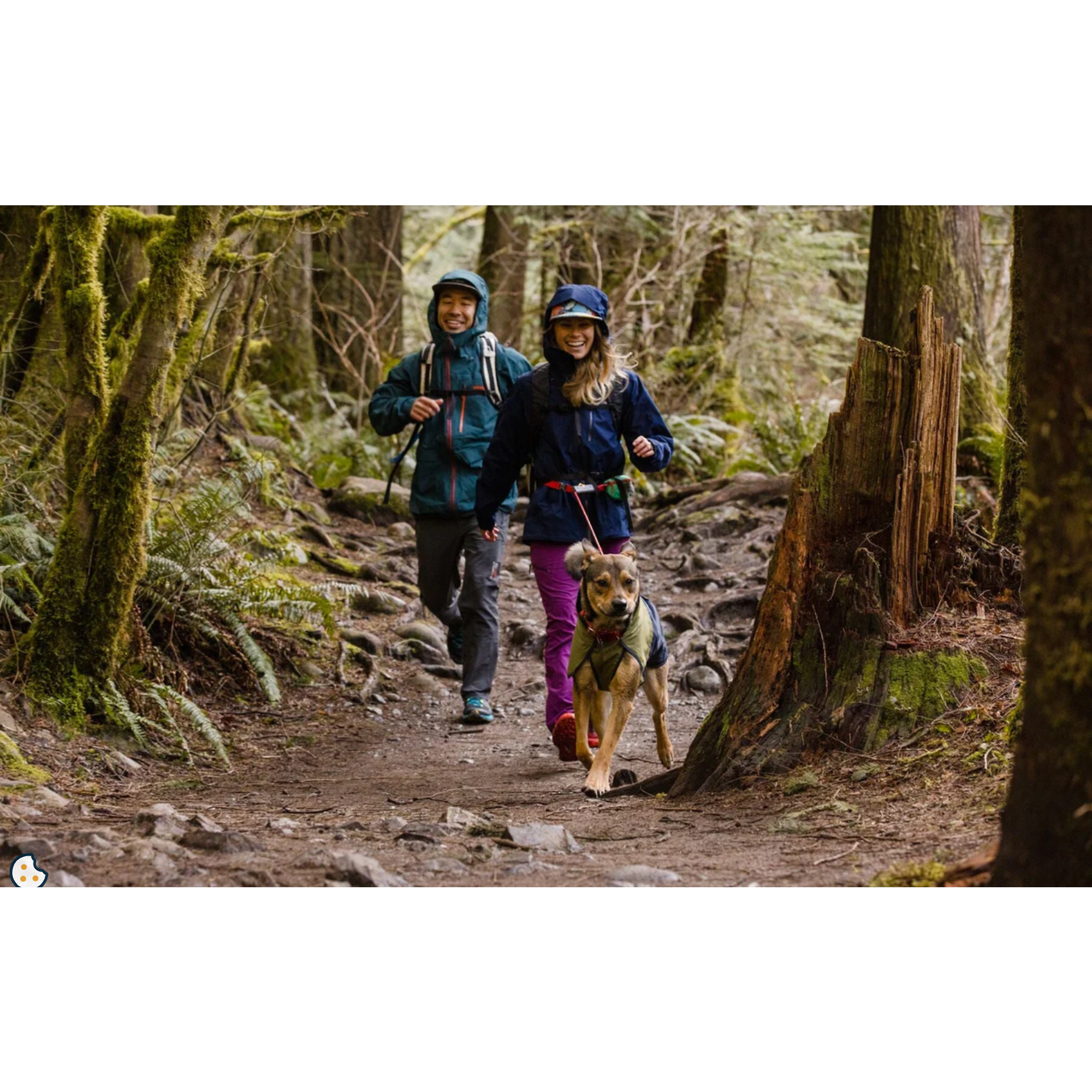 Product image 17 of 20 of RUFFWEAR Hitch Hiker Dog Lead - Slate Blue