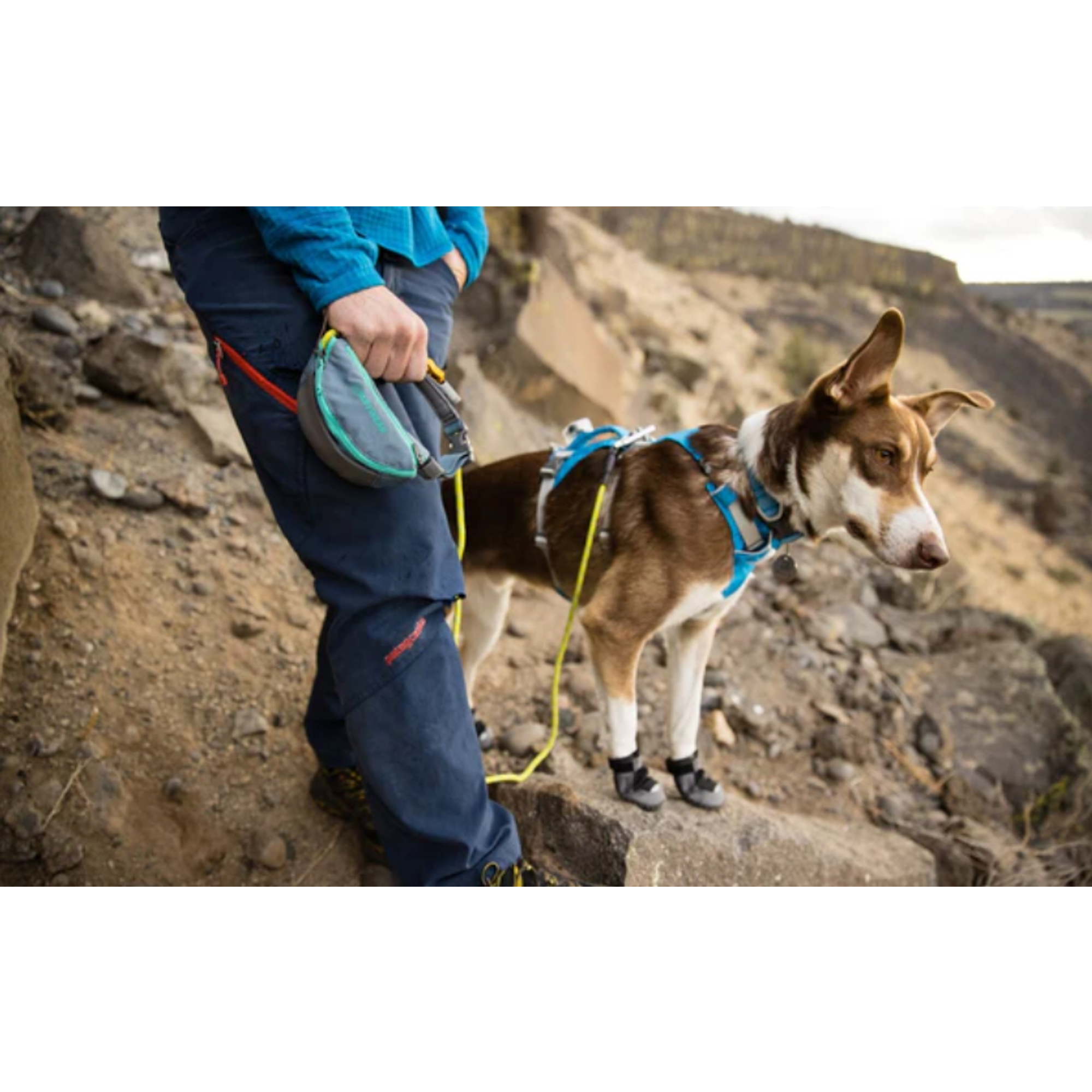 Product image 15 of 20 of RUFFWEAR Hitch Hiker Dog Lead - Slate Blue