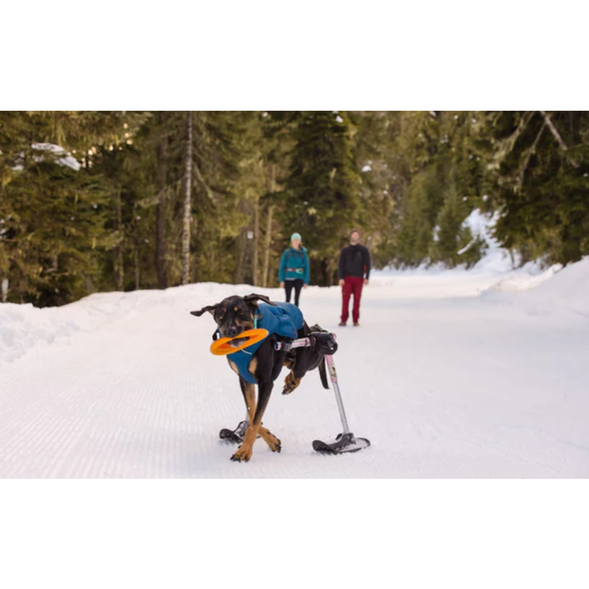 Product image 9 of 10 of RUFFWEAR Hydro Plane Floating Throw Toy - Campfire Orange