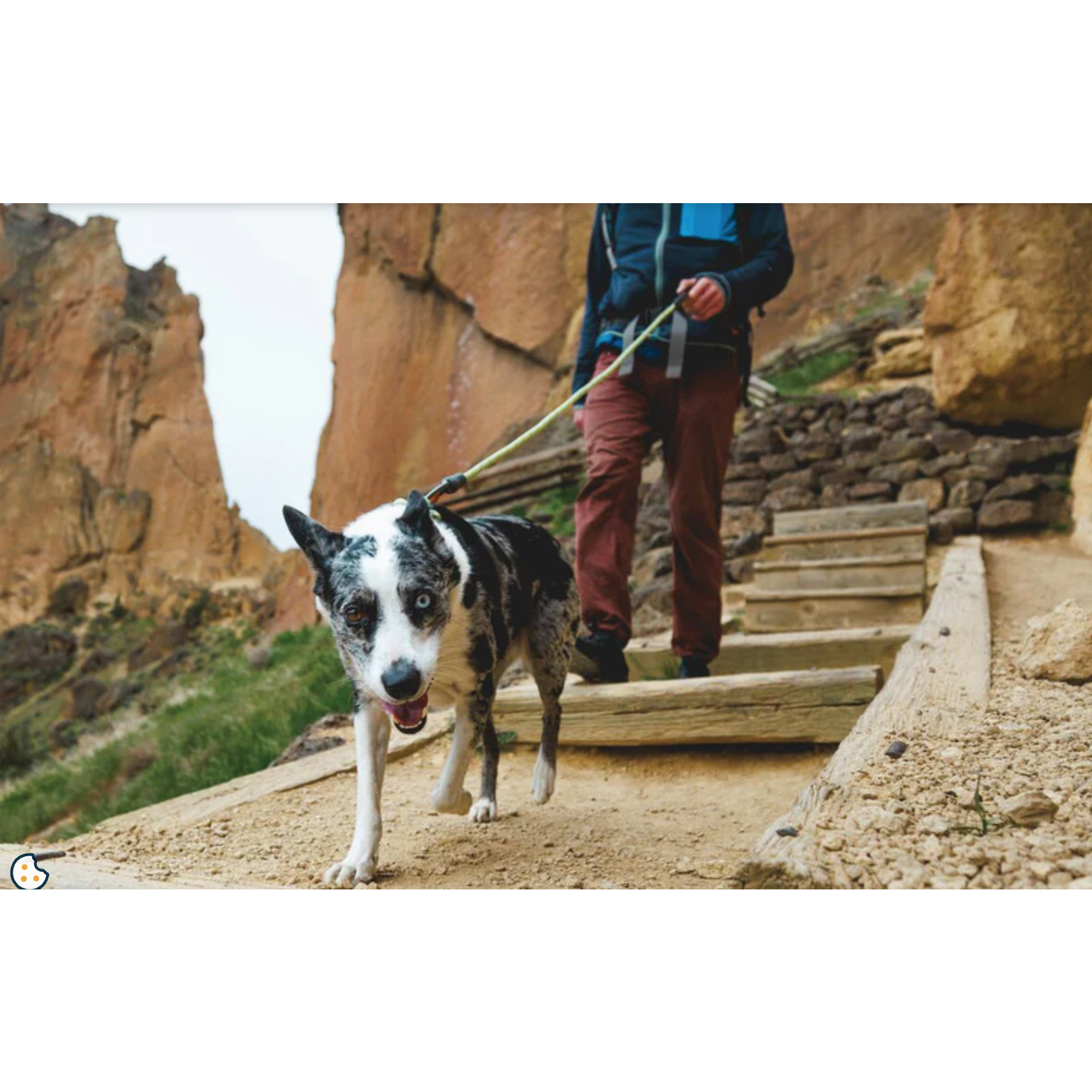 Product image 9 of 11 of RUFFWEAR Knot-a-Leash Rope Dog Lead (Large) - Obsidian Black