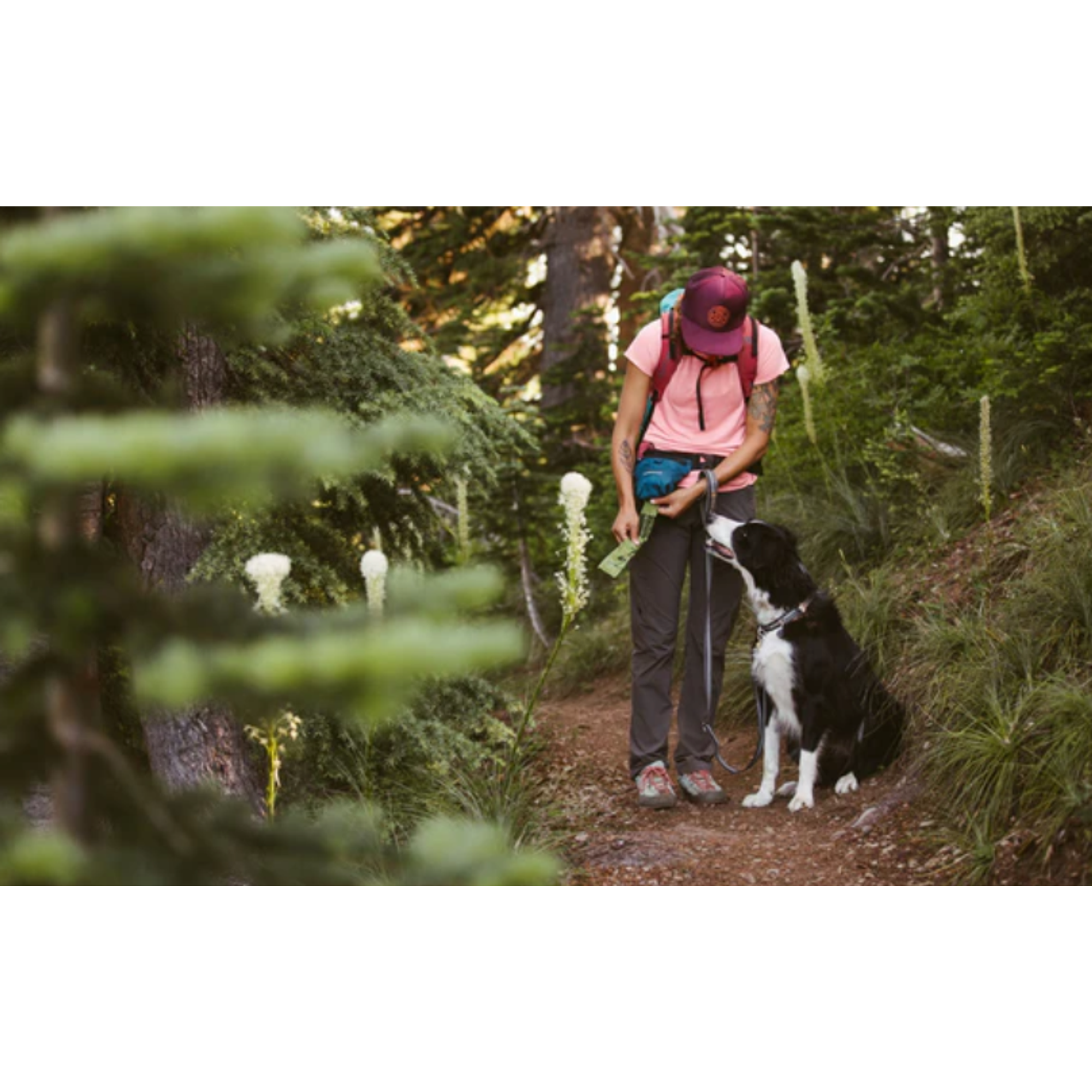 Product image 6 of 7 of RUFFWEAR Pack Out Bag (Large) - Basalt Grey