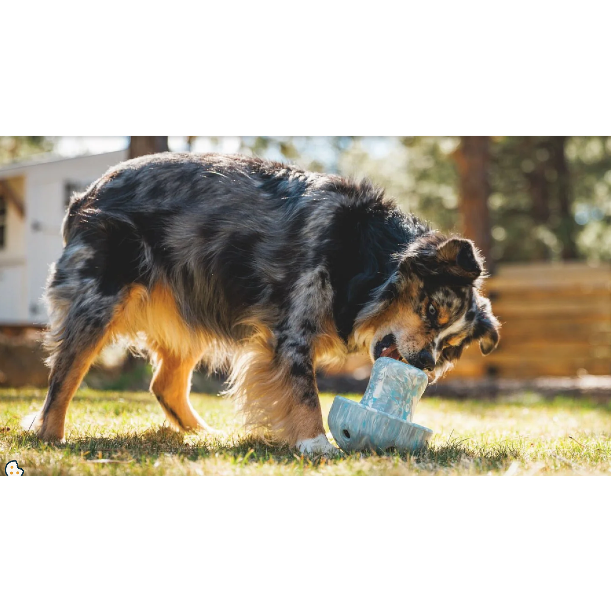 Product image 5 of 5 of RUFFWEAR Porcini Dog Toy - Blue Prism