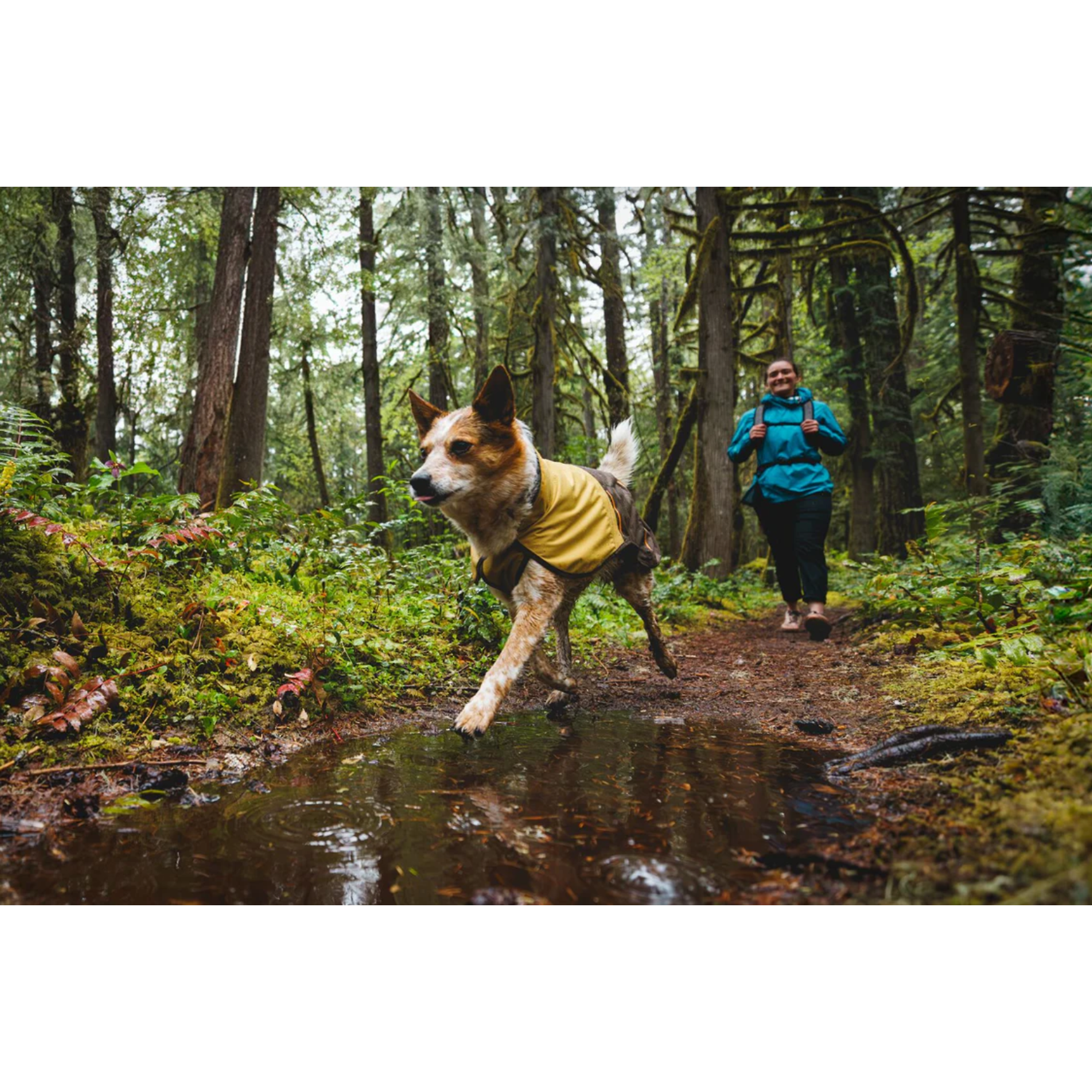 Product image 16 of 18 of RUFFWEAR Sun Shower Dog Raincoat - Midnight Blue