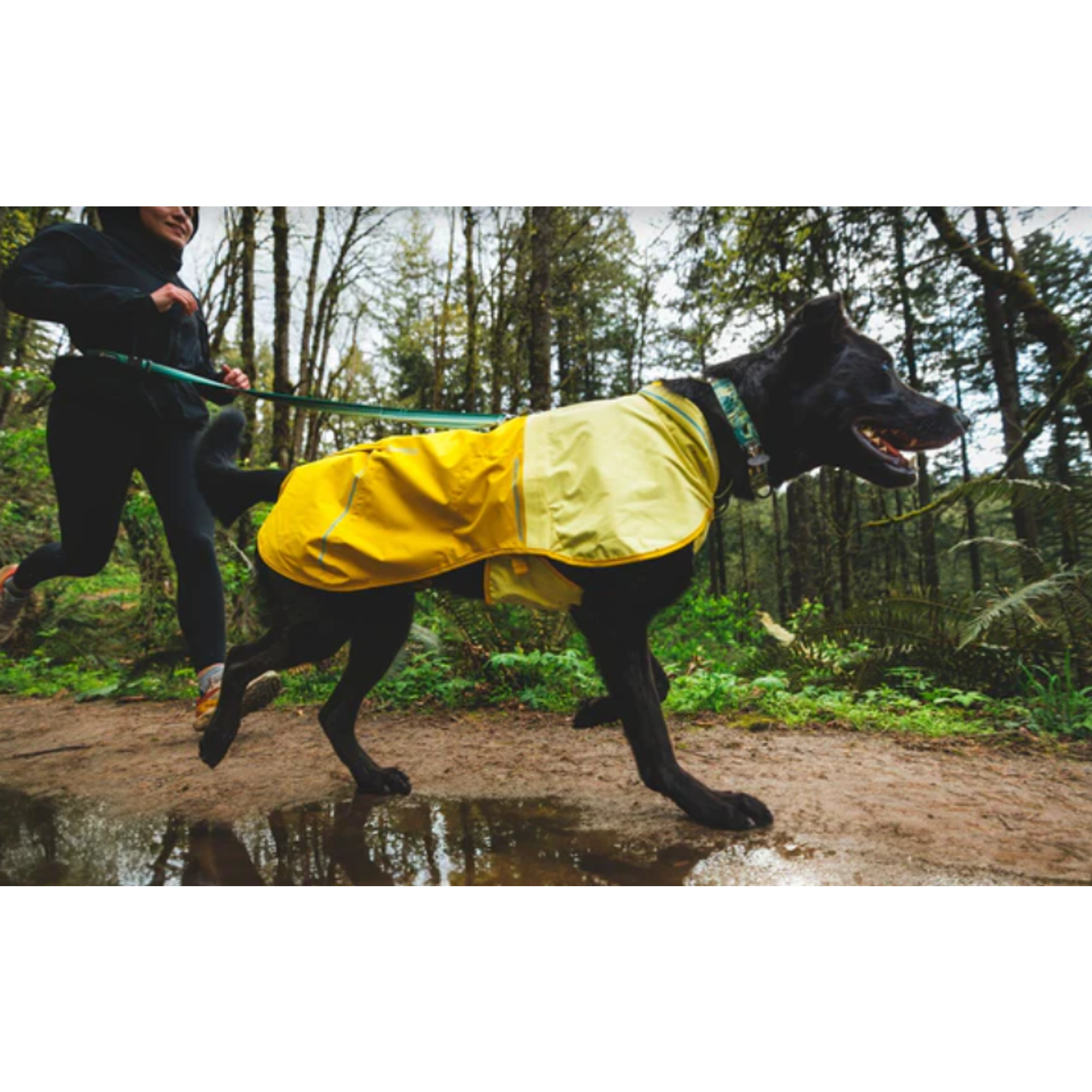 Product image 17 of 18 of RUFFWEAR Sun Shower Dog Raincoat - Midnight Blue