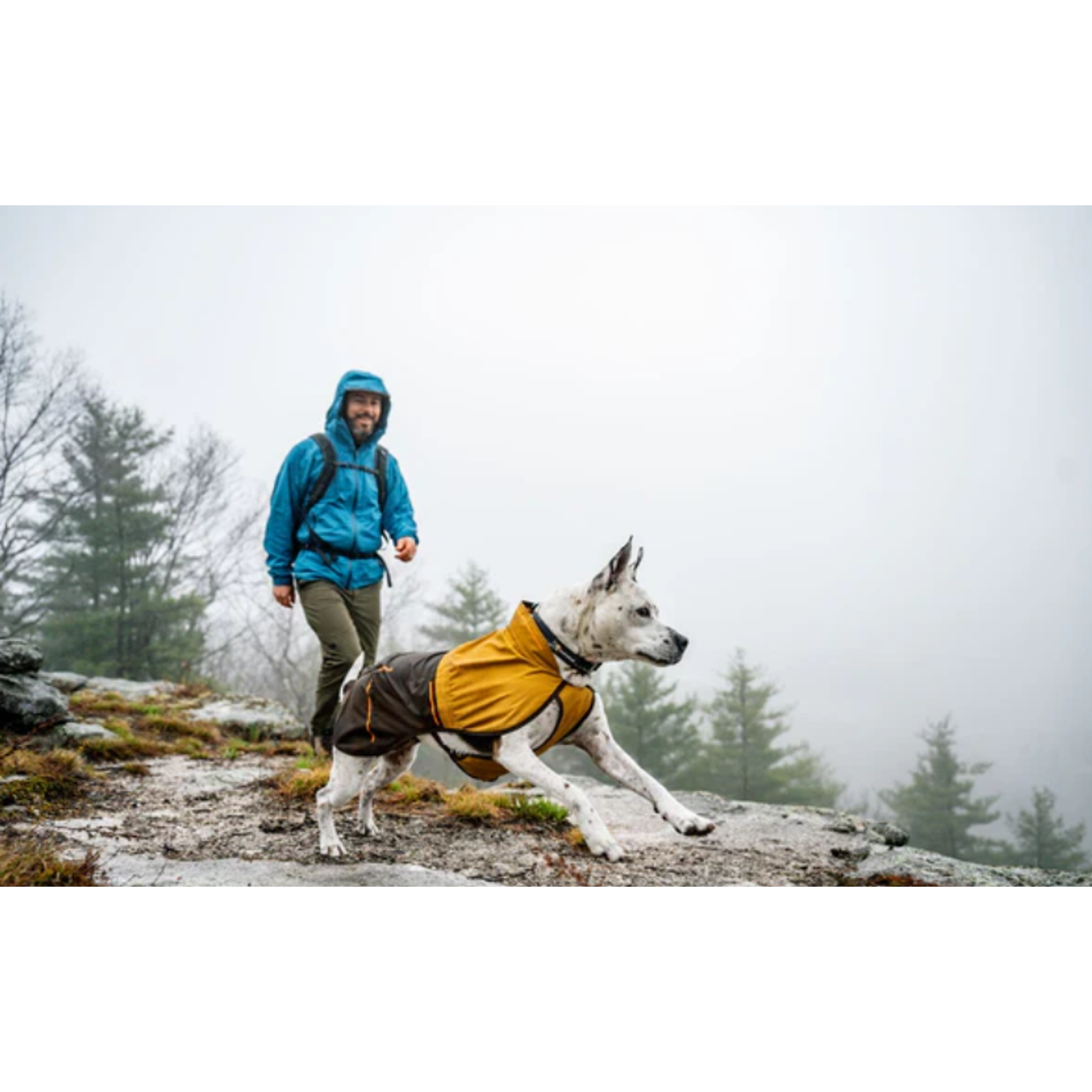 Product image 13 of 18 of RUFFWEAR Sun Shower Dog Raincoat - Midnight Blue