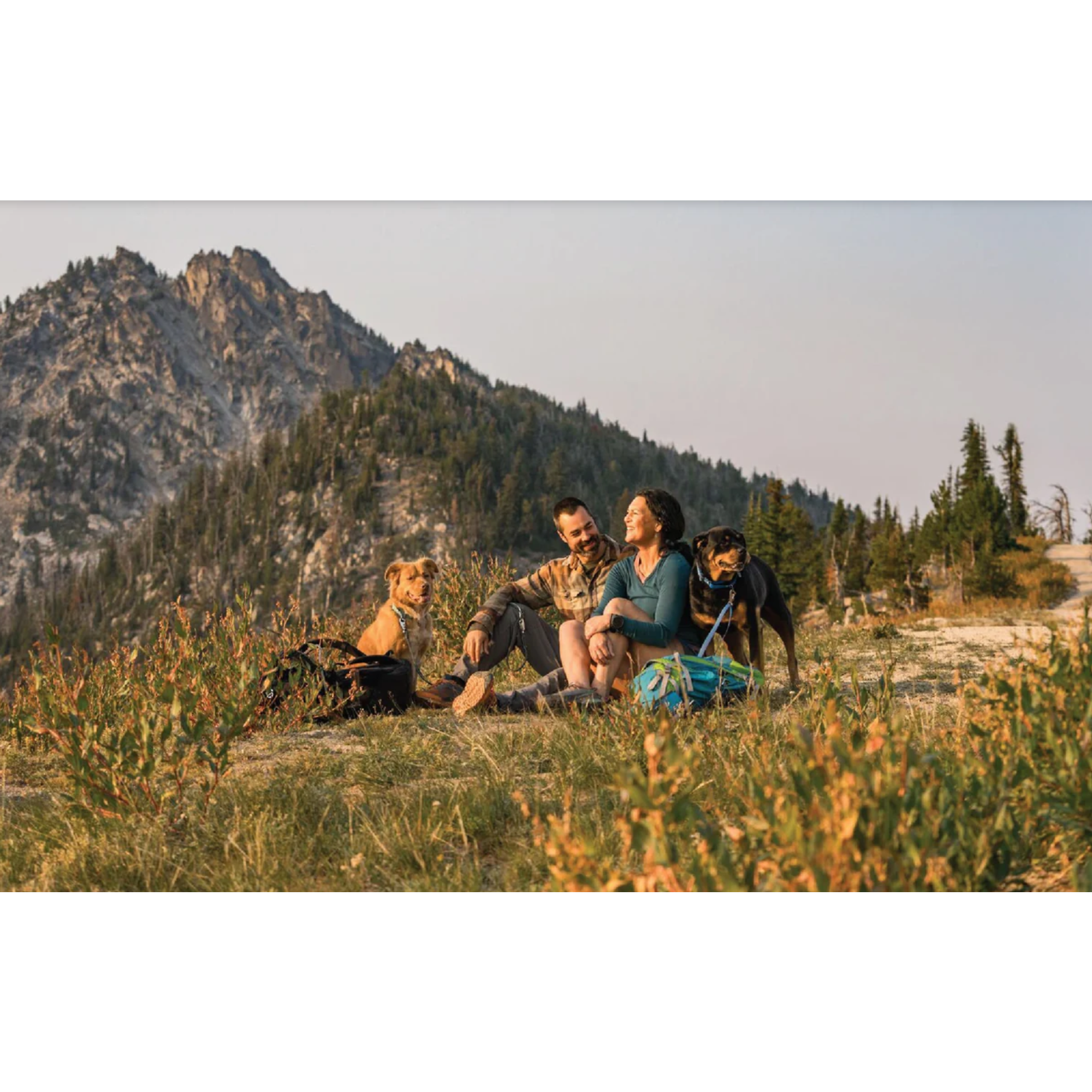 Product image 9 of 14 of RUFFWEAR Switchbak Double-Ended Dog Lead - Basalt Grey