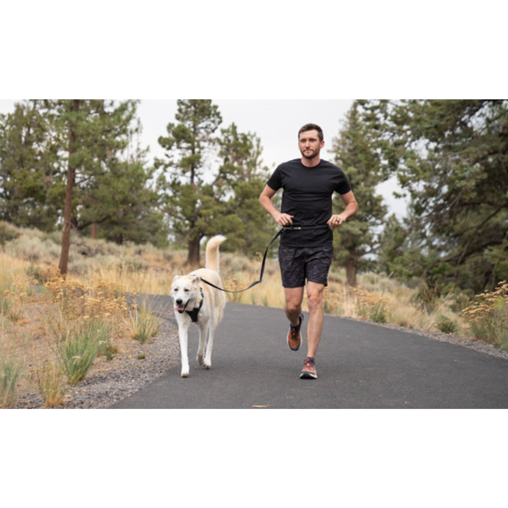 Product image 12 of 14 of RUFFWEAR Switchbak Double-Ended Dog Lead - Basalt Grey