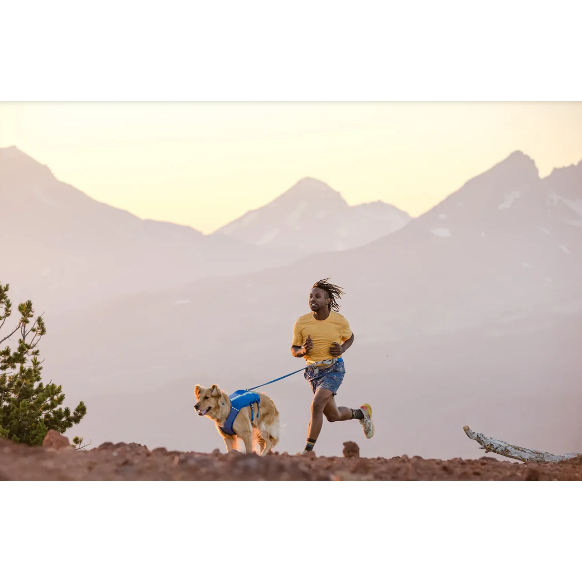Product image 7 of 9 of RUFFWEAR Trail Runner Dog Lead - Blue Pool