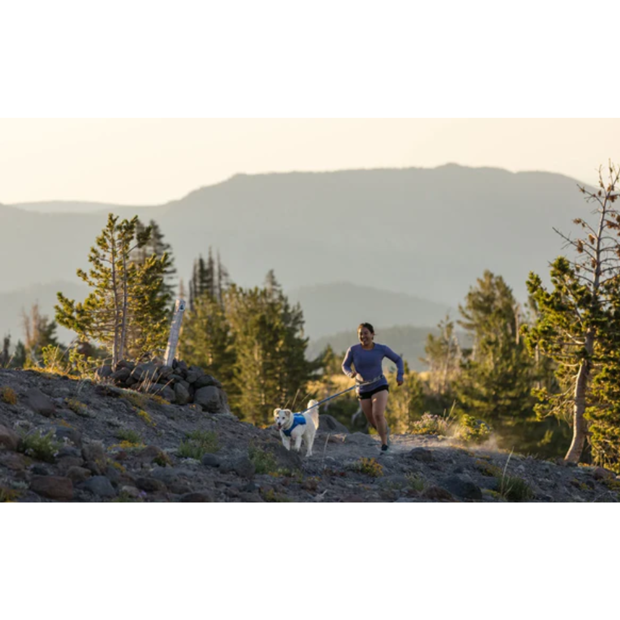 Product image 8 of 9 of RUFFWEAR Trail Runner Dog Lead - Blue Pool
