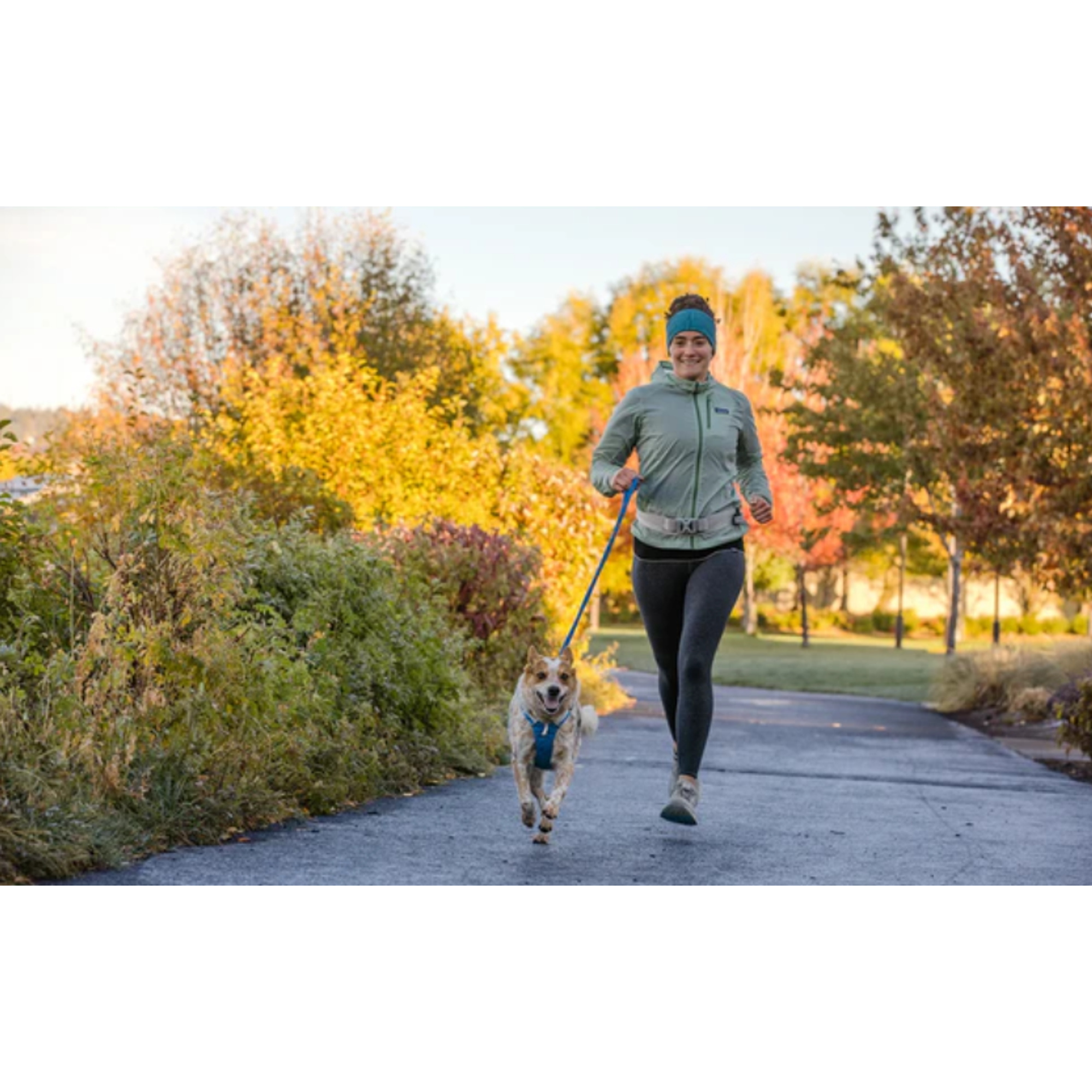 Product image 9 of 9 of RUFFWEAR Trail Runner Dog Lead - Blue Pool