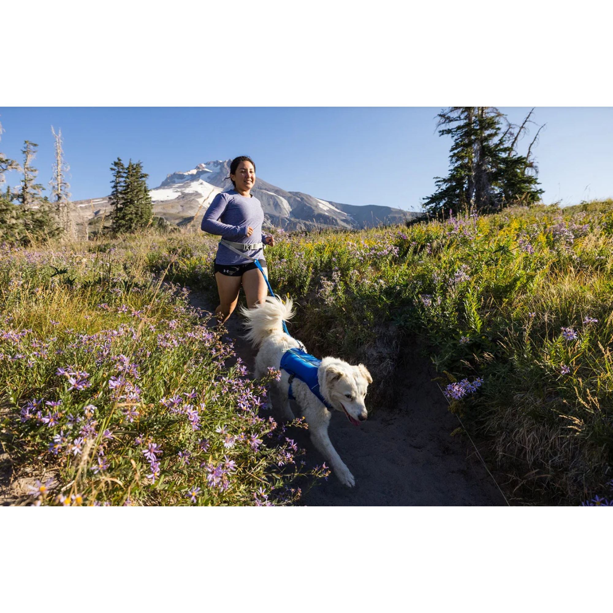 Product image 8 of 14 of RUFFWEAR Trail Runner Running Belt (Small/Medium) Blue Pool