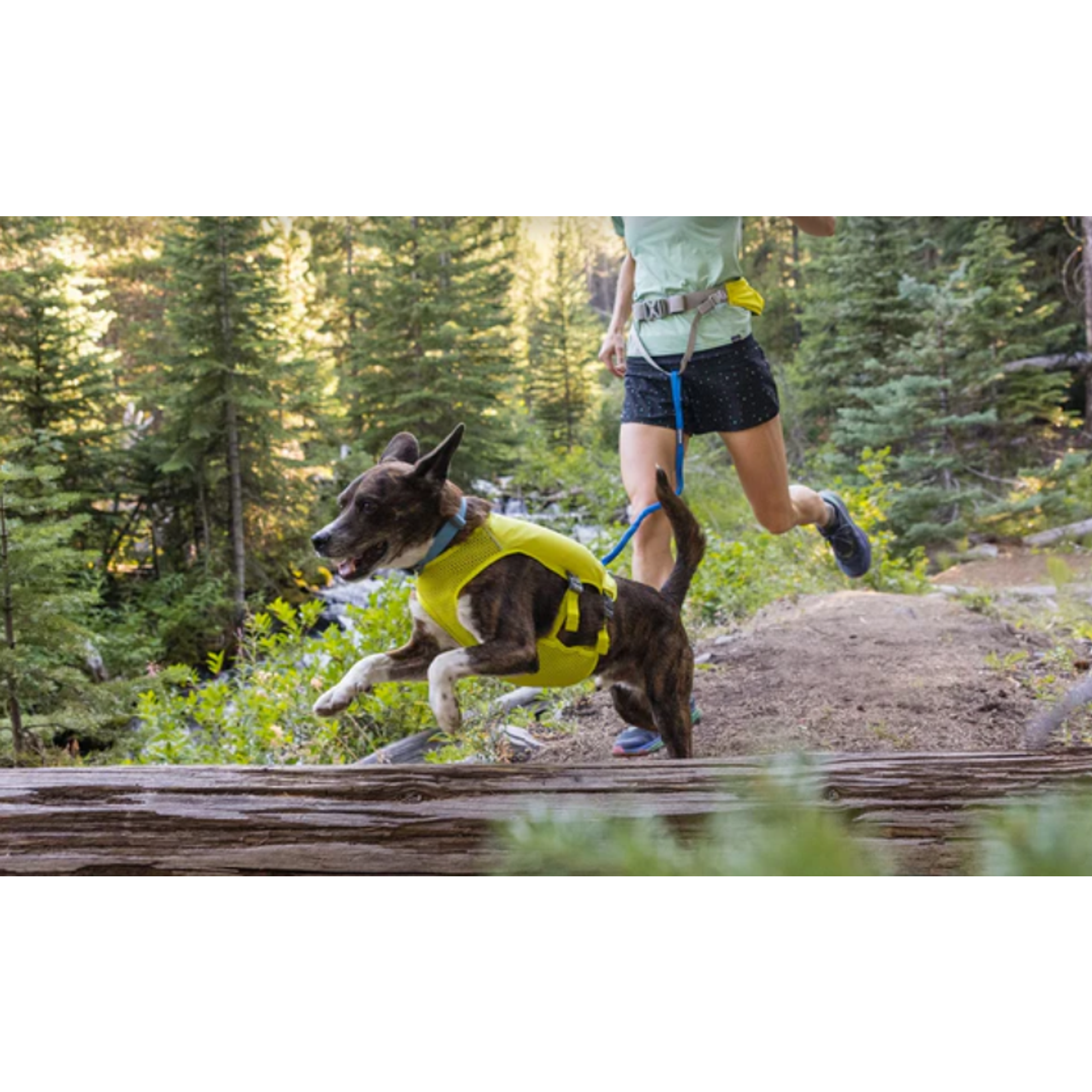 Product image 9 of 14 of RUFFWEAR Trail Runner Running Belt (Small/Medium) Blue Pool