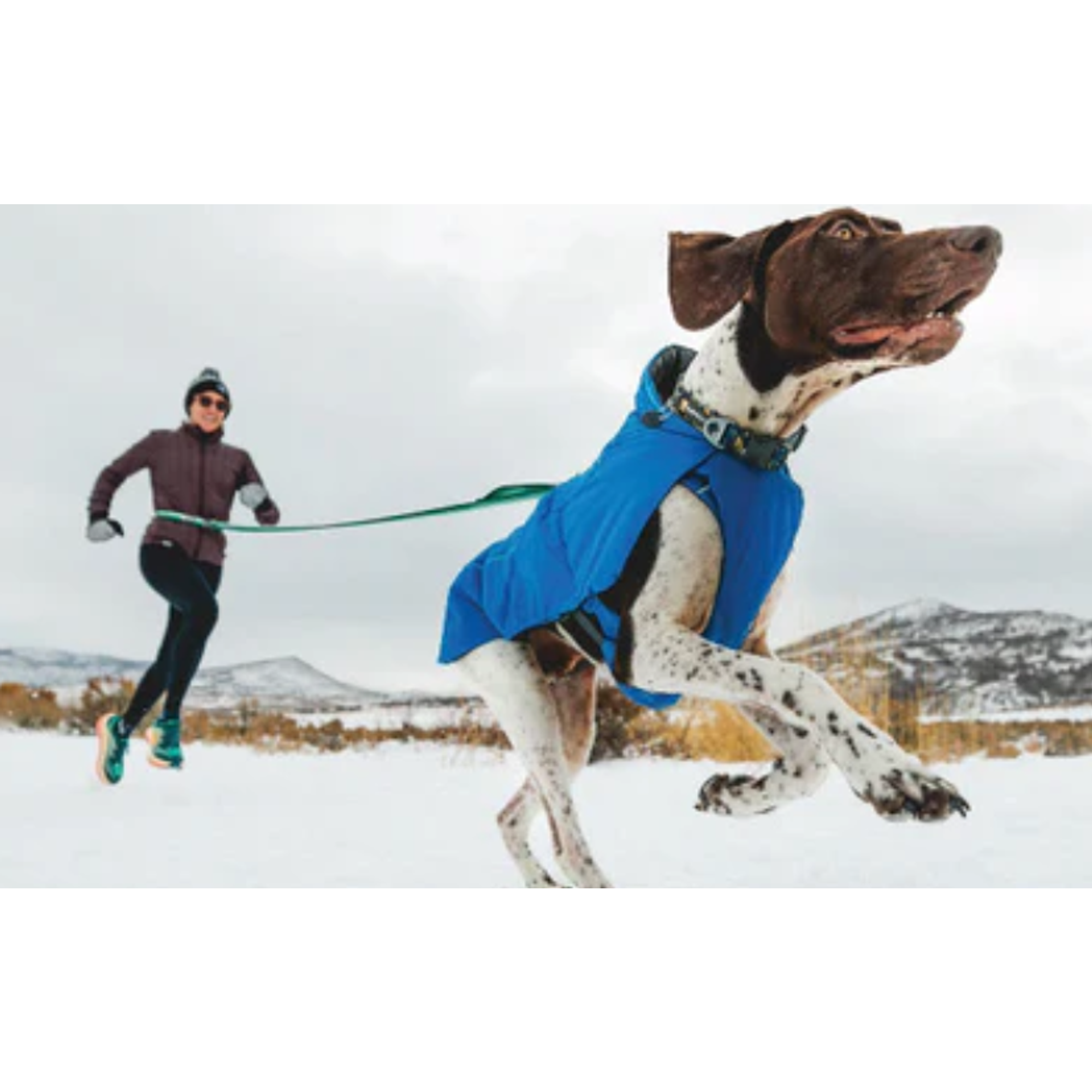 Product image 10 of 14 of RUFFWEAR Vert™ Dog Jacket - Mineral Yellow