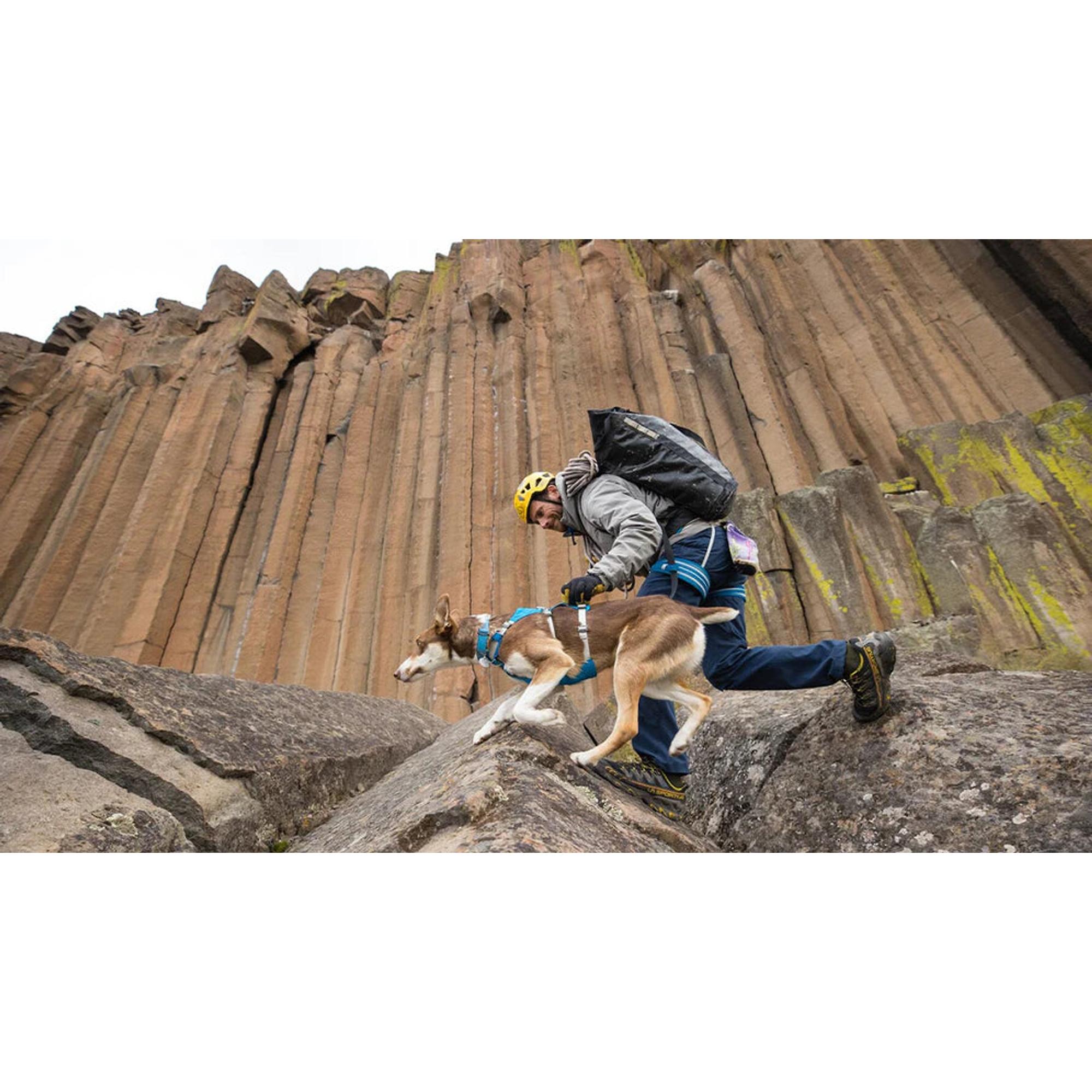 Product image 13 of 17 of RUFFWEAR Flagline Dog Harness - Basalt Grey